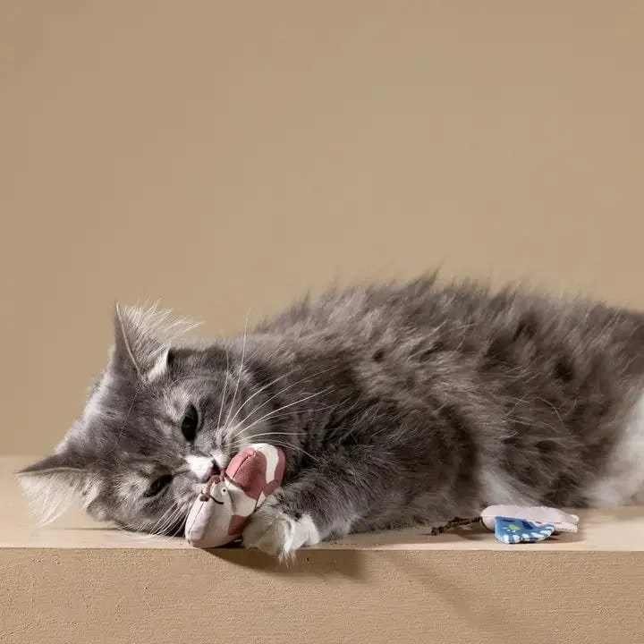 Cat playing with eco-friendly Ocean Critters Cat Toys