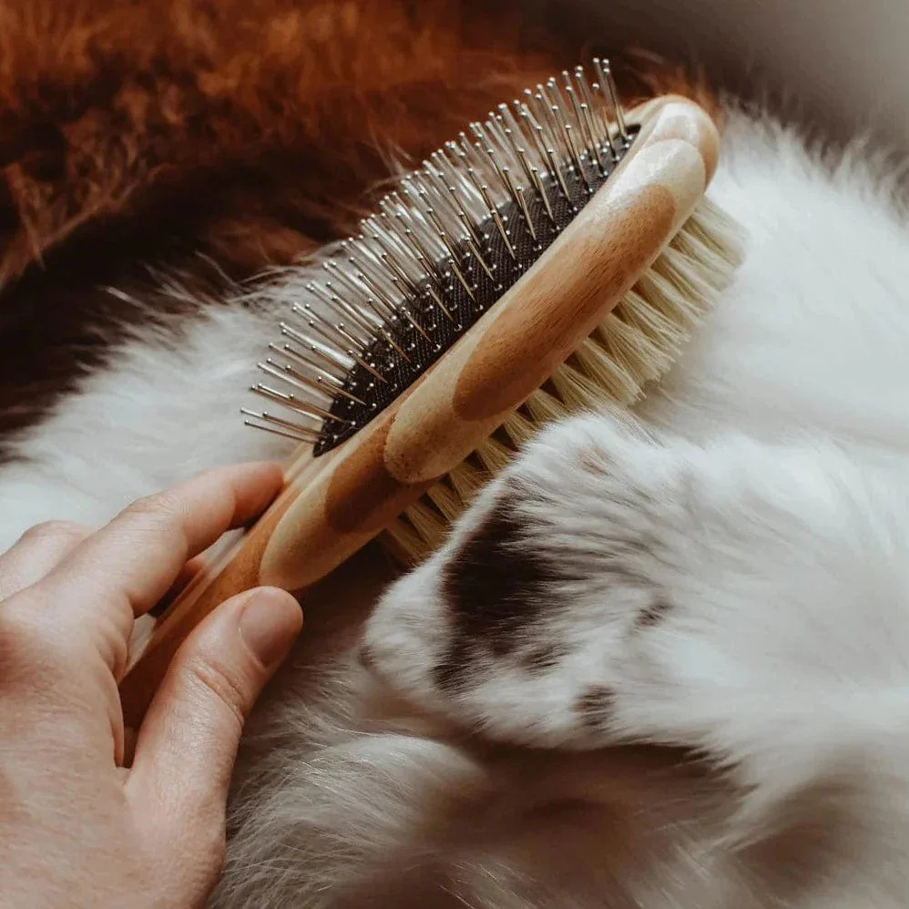 A hand holding a pet grooming brush resting on a white and brown spotted animal, likely a cat, lying on a soft surface.