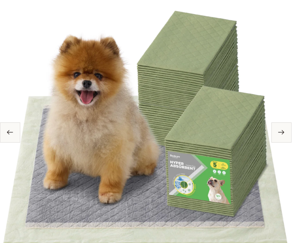 A small brown fluffy puppy sitting on a padded green mat with a white surface, surrounded by stacks of green disposable pee pads.