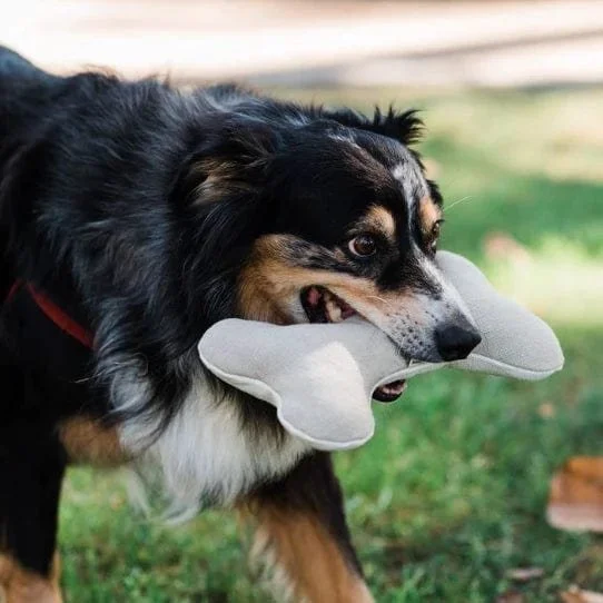 natural canvas dog toy bone shape sustainable dog toy neutral aesthetic