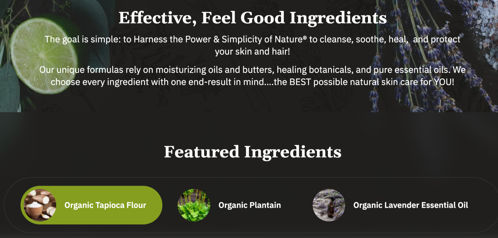 Organic dry dog shampoo for refreshing coat between baths