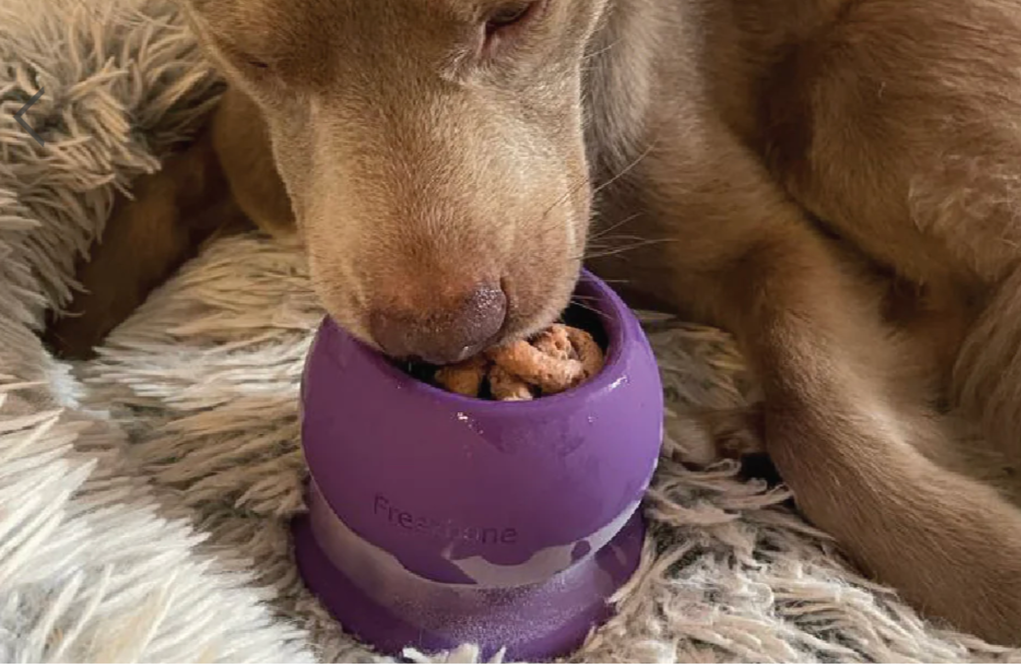 FreezeBone enrichment toy refills made for fillable dog chew toys