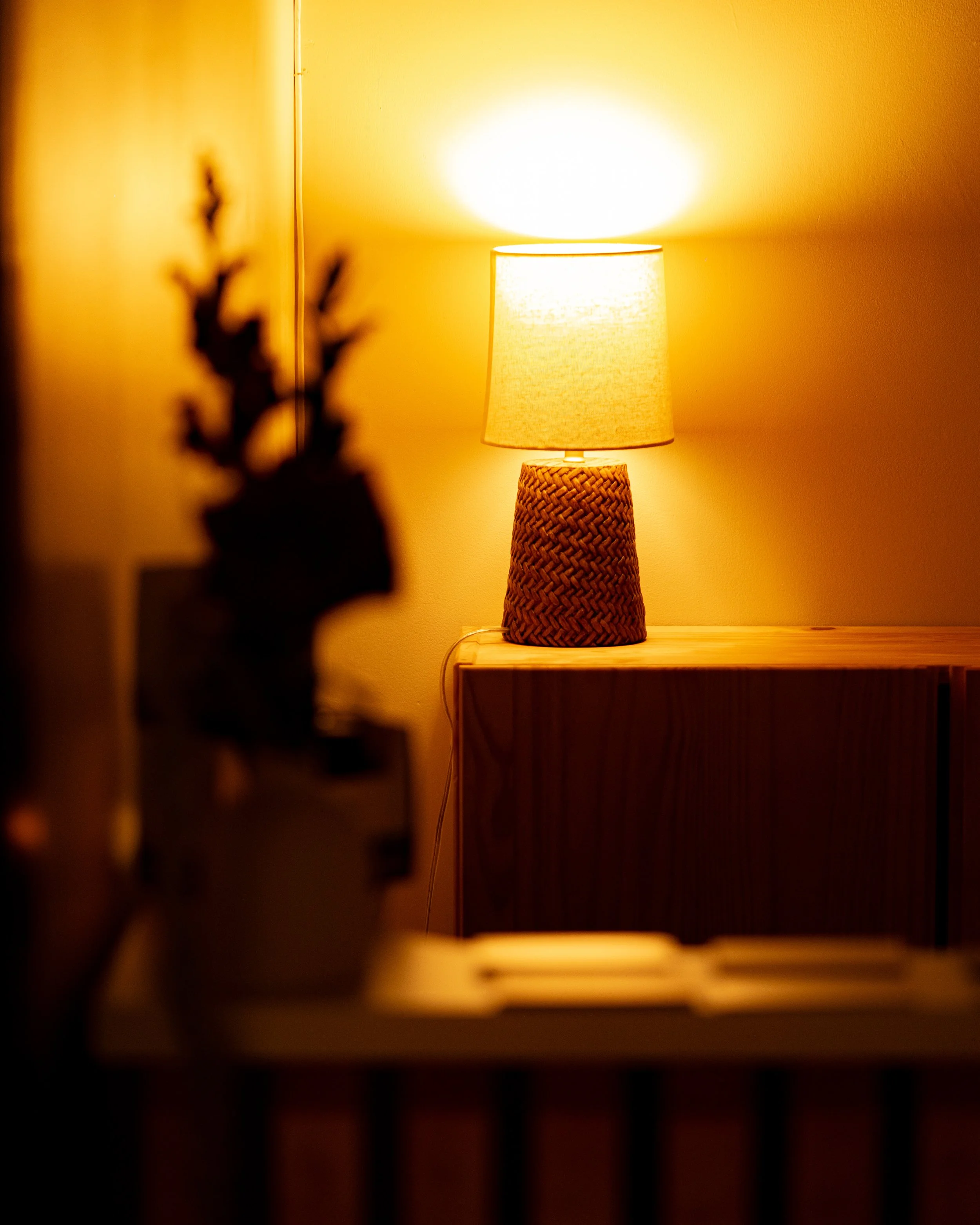 DSC09339.jpeg