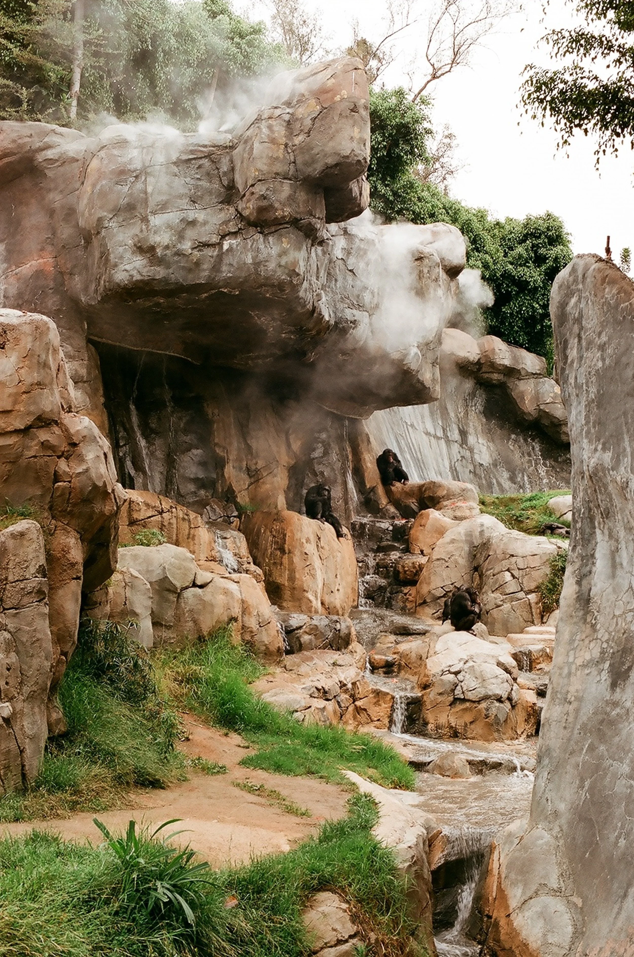 Los Angeles Zoo chimpanzee exhibit