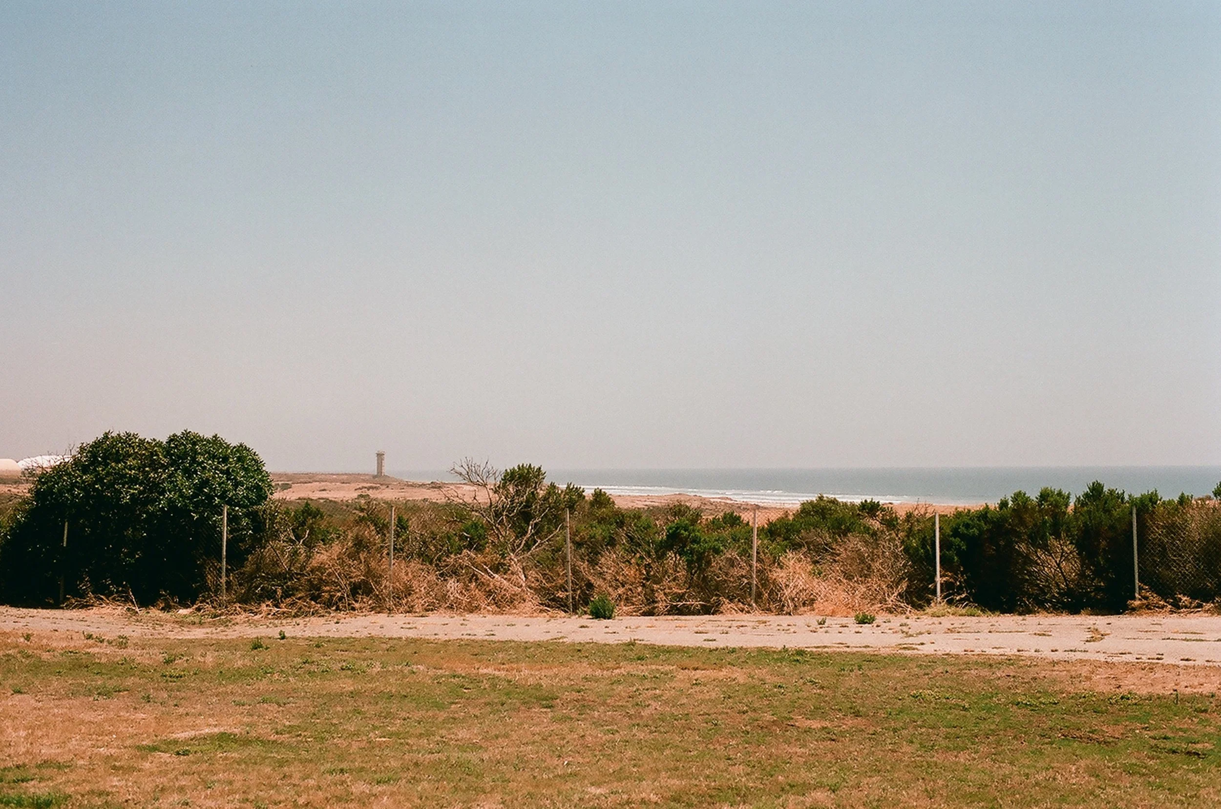 A landscape view of a park or open field with green and brown grass, trees, and bushes in the foreground. In the distance, water and a lighthouse or tower are visible under a clear sky.