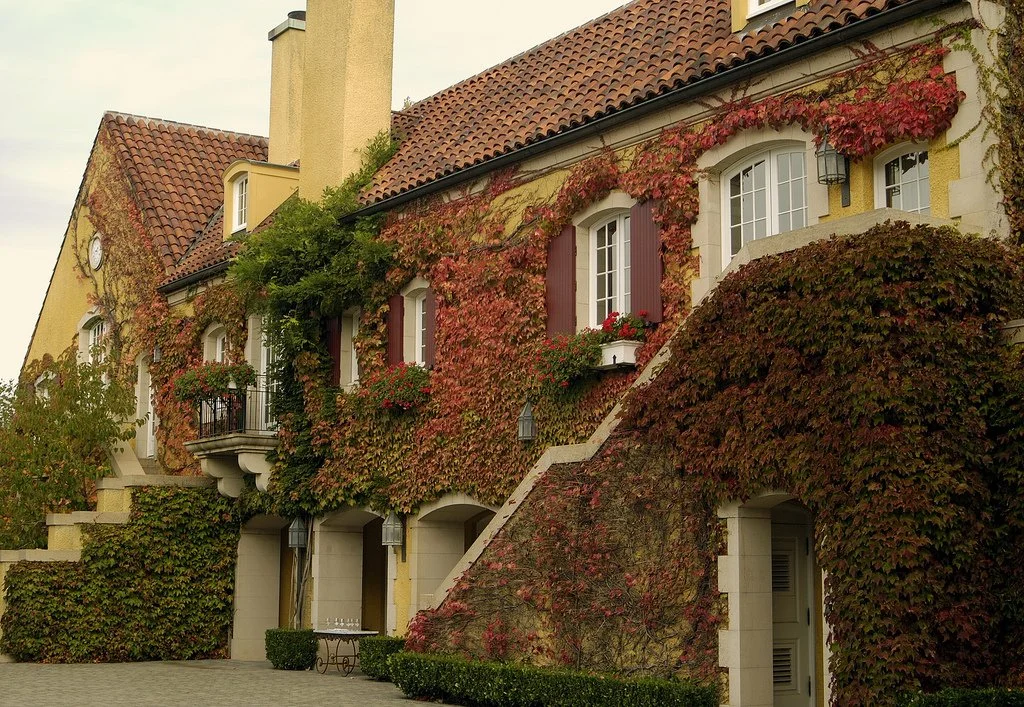 Healdsburg: a guide to Sonoma's dreamiest town