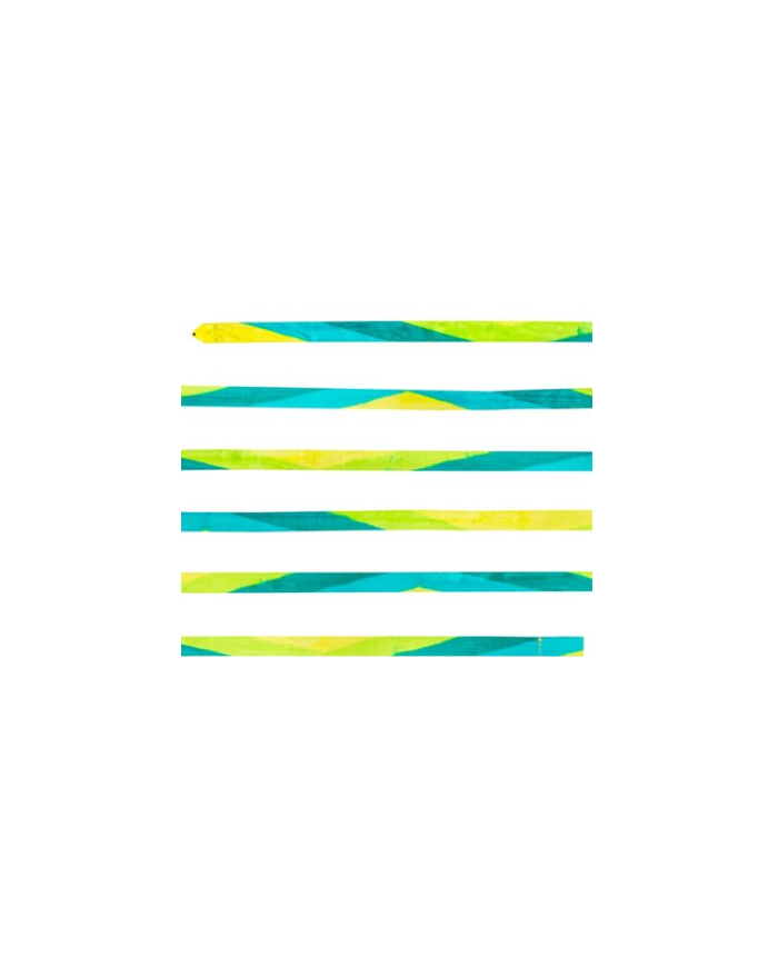 cinta-chacott-degradado-multicolor Leaf Green (233).jpg