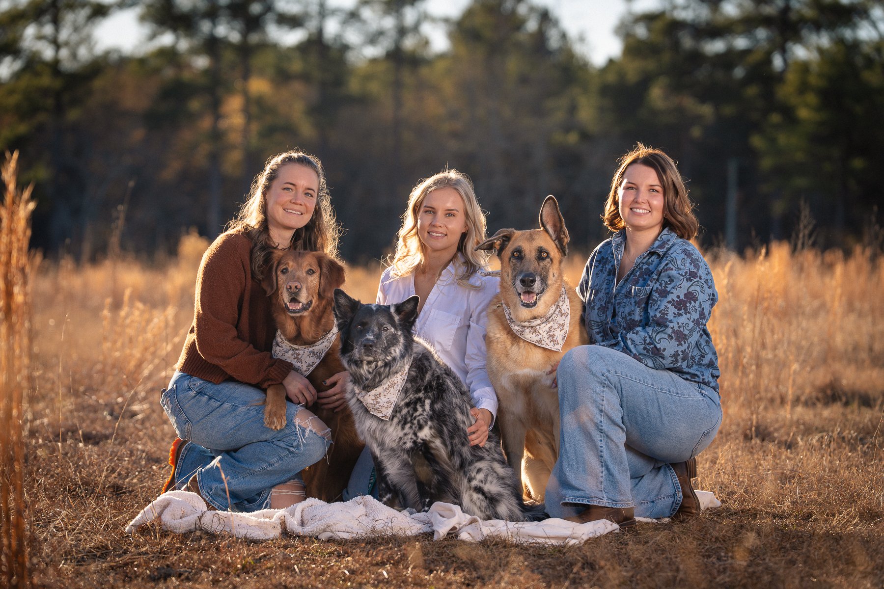 Three women with four dogs sitting on a blanket in a grassy field during sunset.