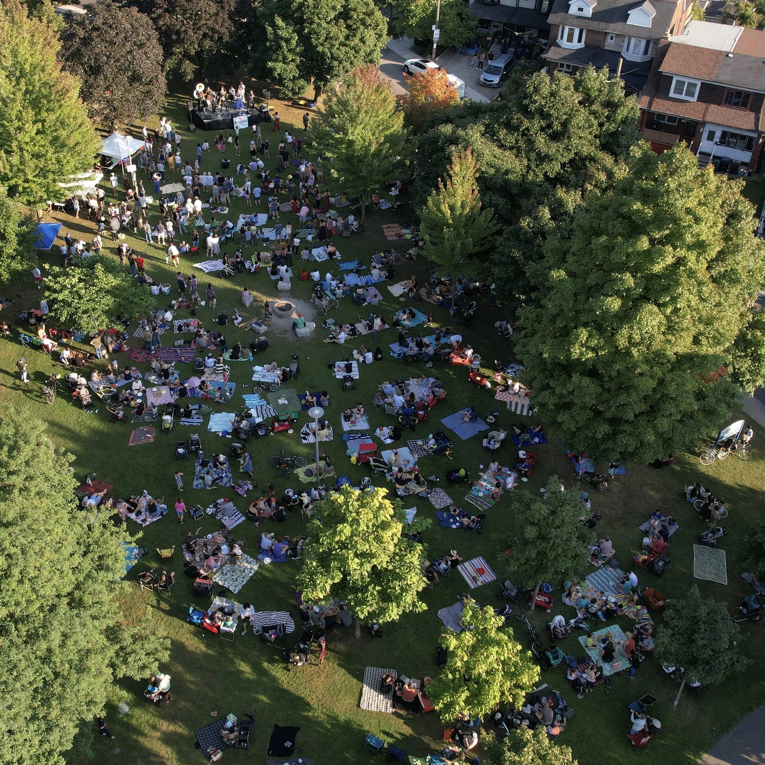 DJI_0219 small.jpg
