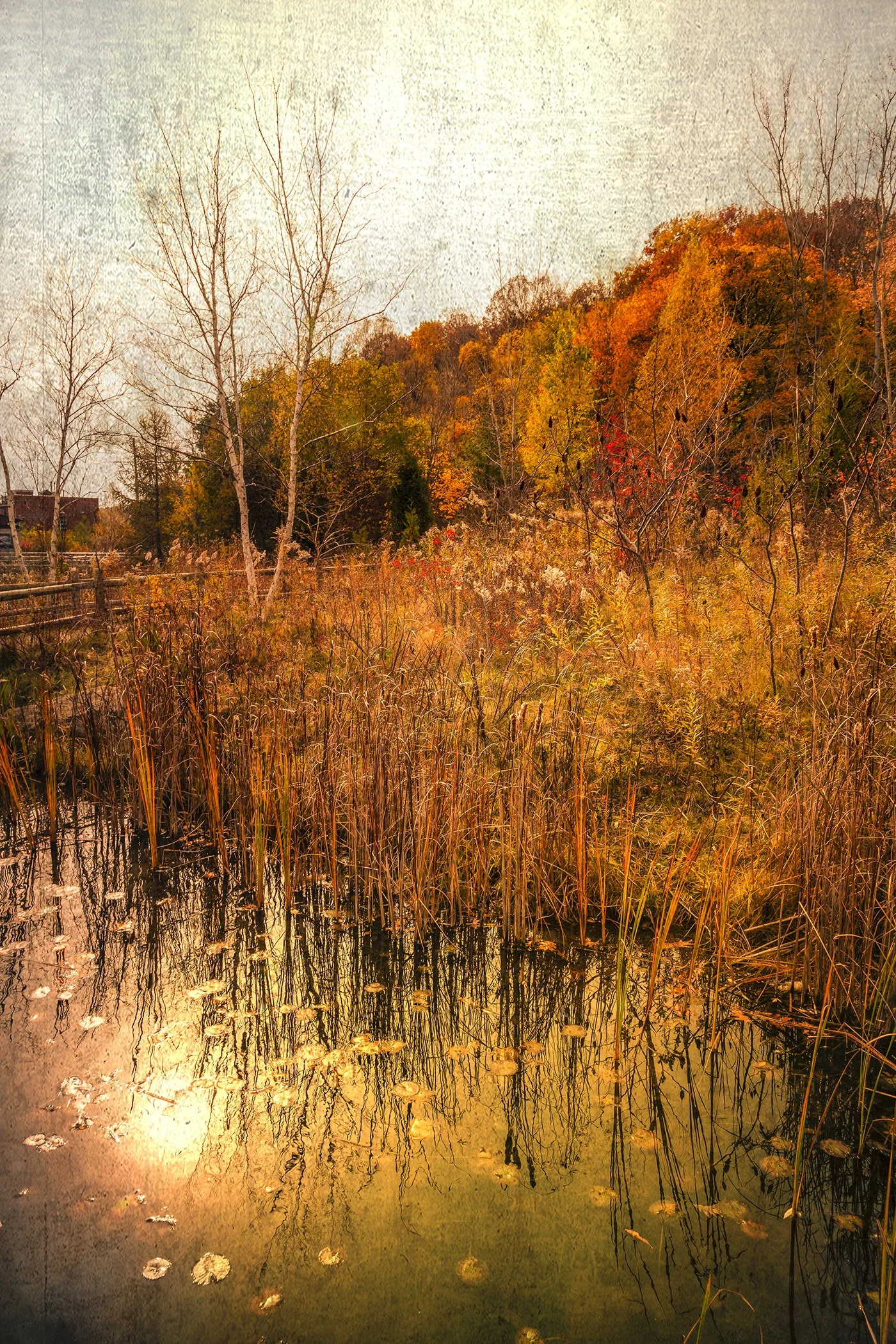 Autumn landscape with trees, tall grass, and a pond reflecting the scene