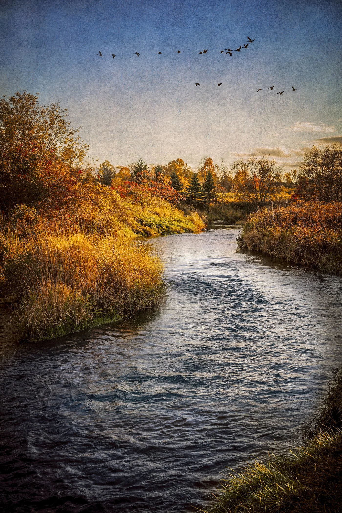 A river flowing through a woodland area with autumn-colored trees on both banks, a flock of birds flying overhead, and a clear sky in the background.