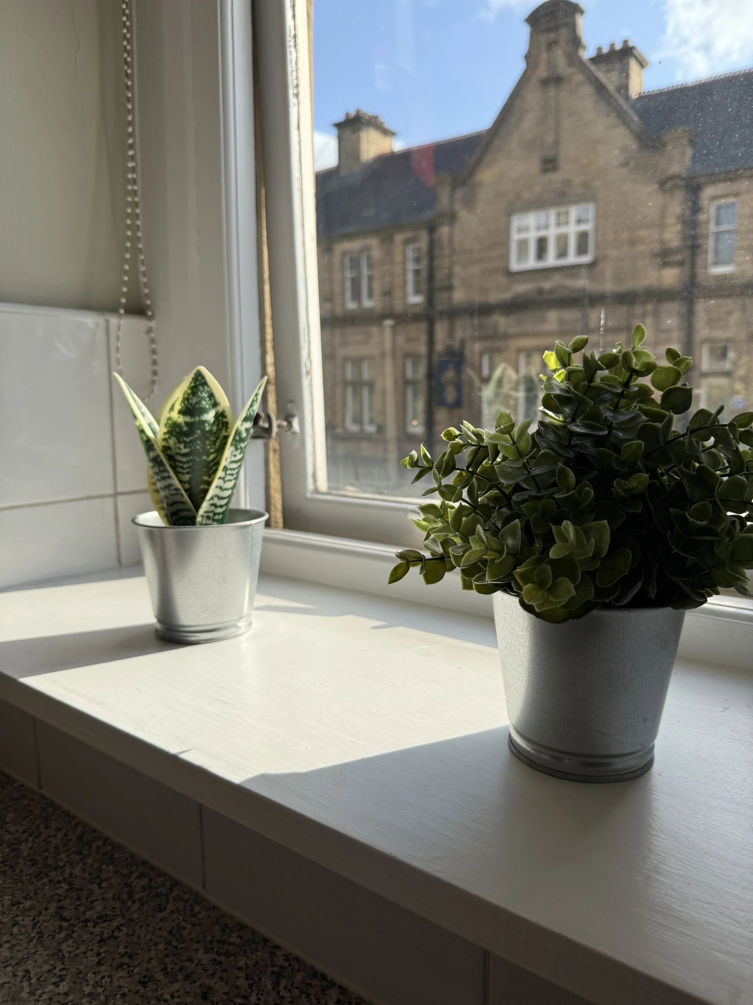 Two potted plants on a window sill next to a window with a view of a stone building and blue sky outside.