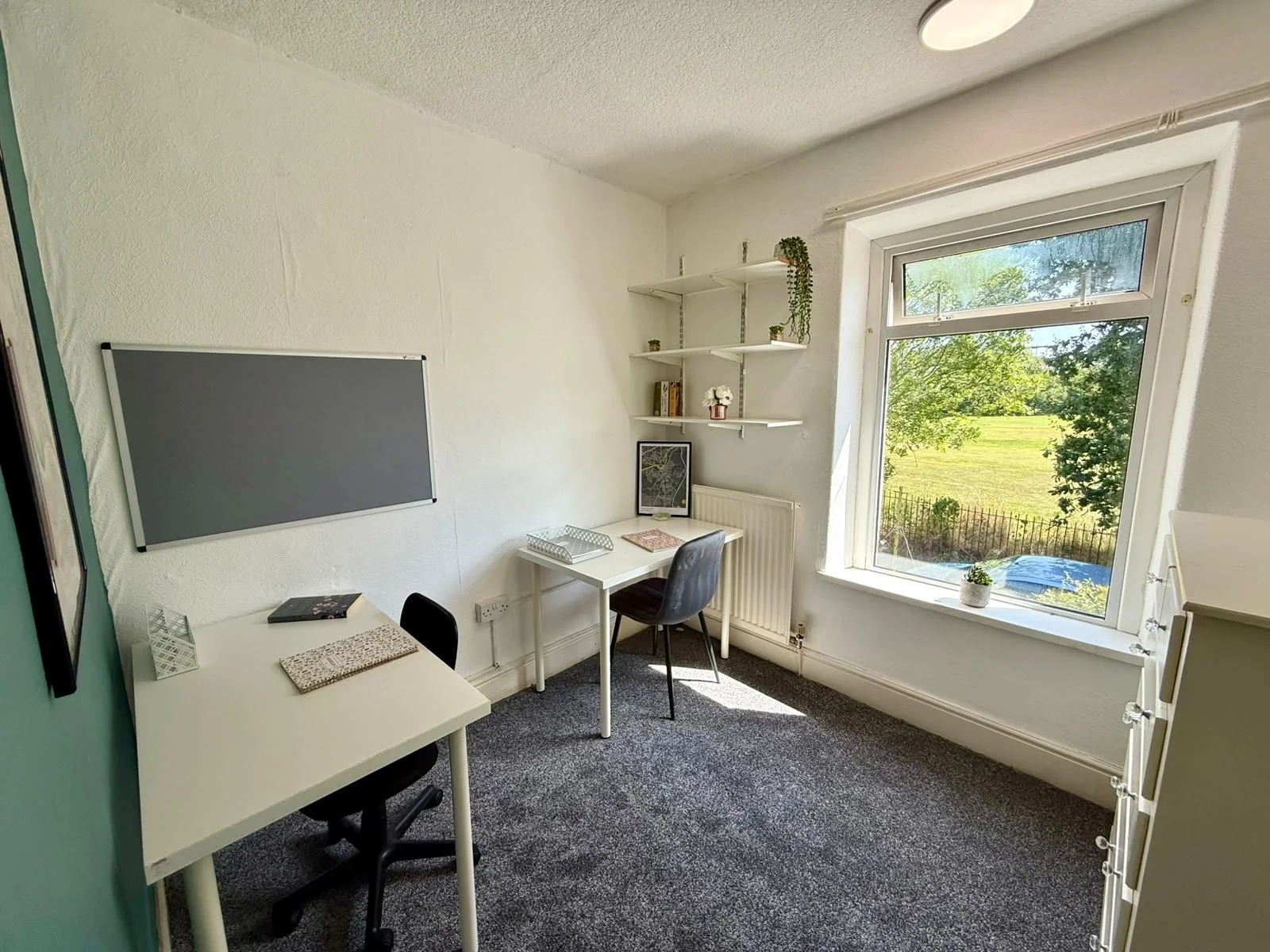 Small office with two white desks, black and gray chairs, a window showing trees outside, a white shelving unit with plants and books, gray carpet, and a gray wall panel.