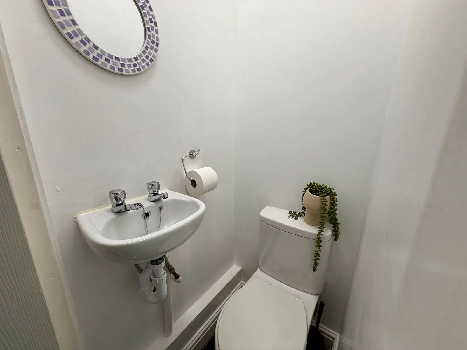Small bathroom with a white toilet and a tiny wall-mounted sink, a mirror with a purple mosaic tile frame, a potted plant on the toilet tank, and a plant hanging down from the tank lid.