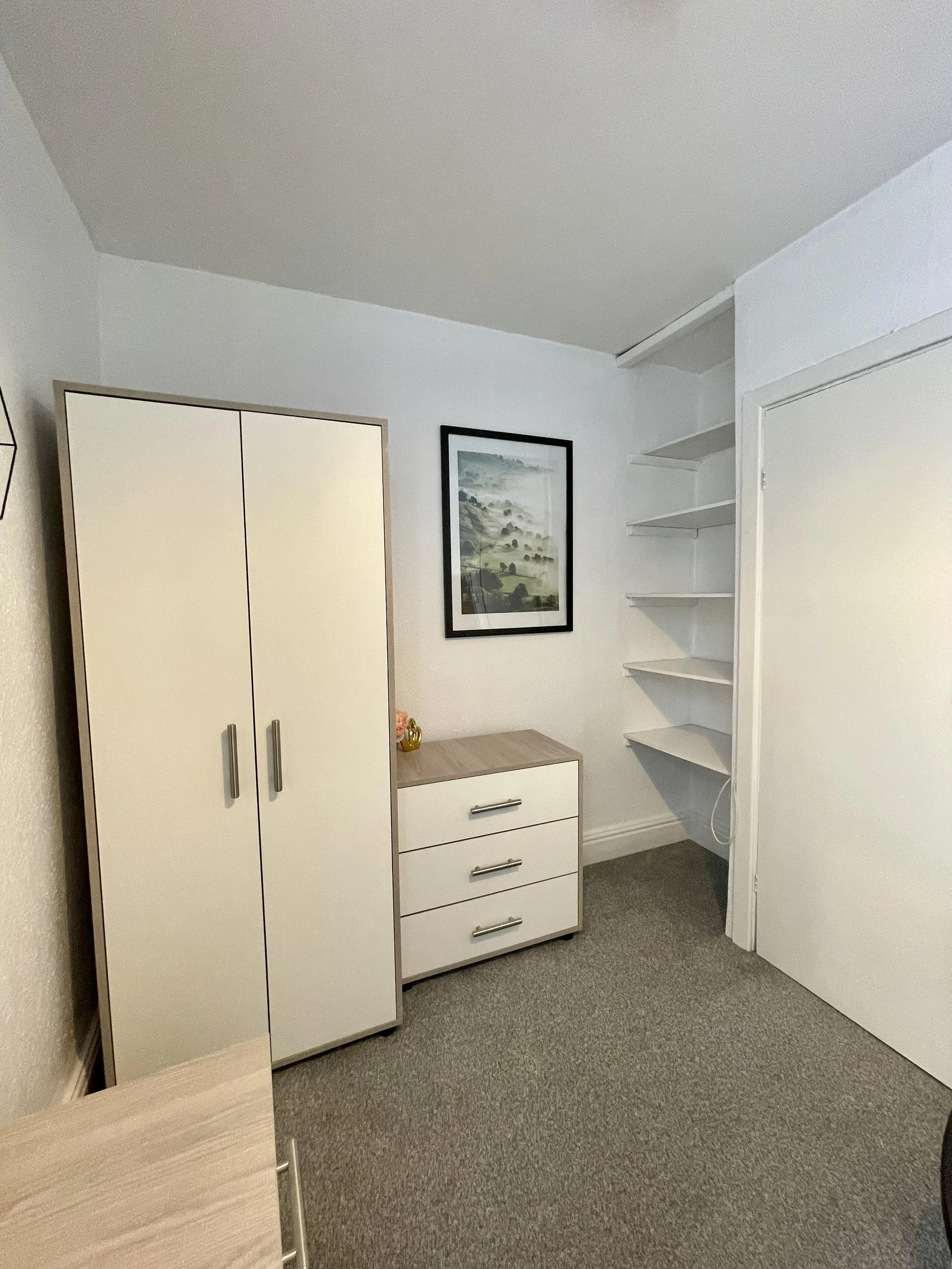 A small room with a beige wardrobe, a white dresser with a wooden top, and a wall-mounted picture of a foggy landscape. There are four white shelves on the wall next to a closed door, with a visible electrical cord hanging down from the shelves.
