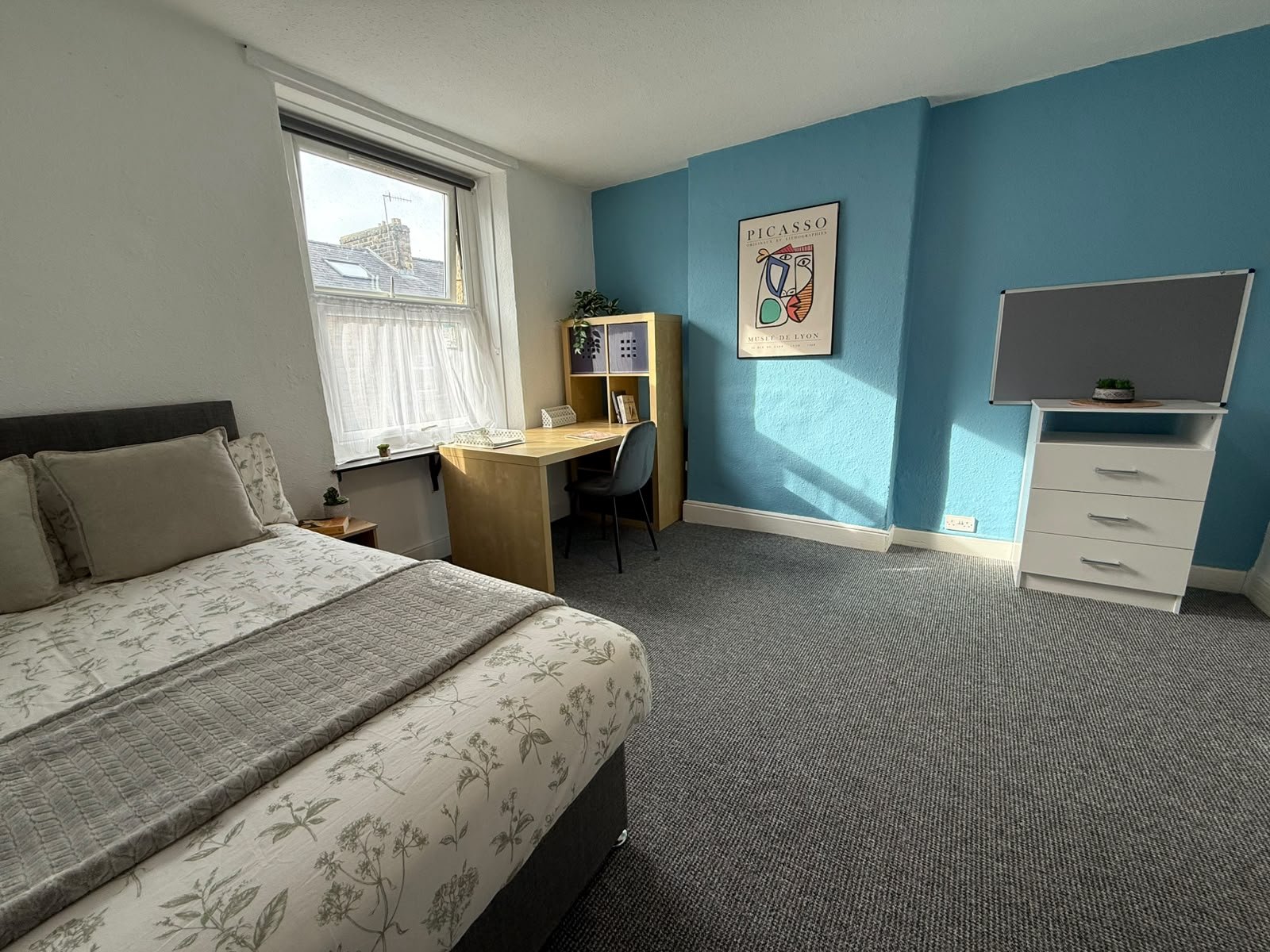 A bedroom with a bed, a small wooden nightstand, a window with white curtains, a desk with a black chair, blue accent wall with a Picasso poster, a white chest of drawers with a grayboard and small plant, and gray carpet.
