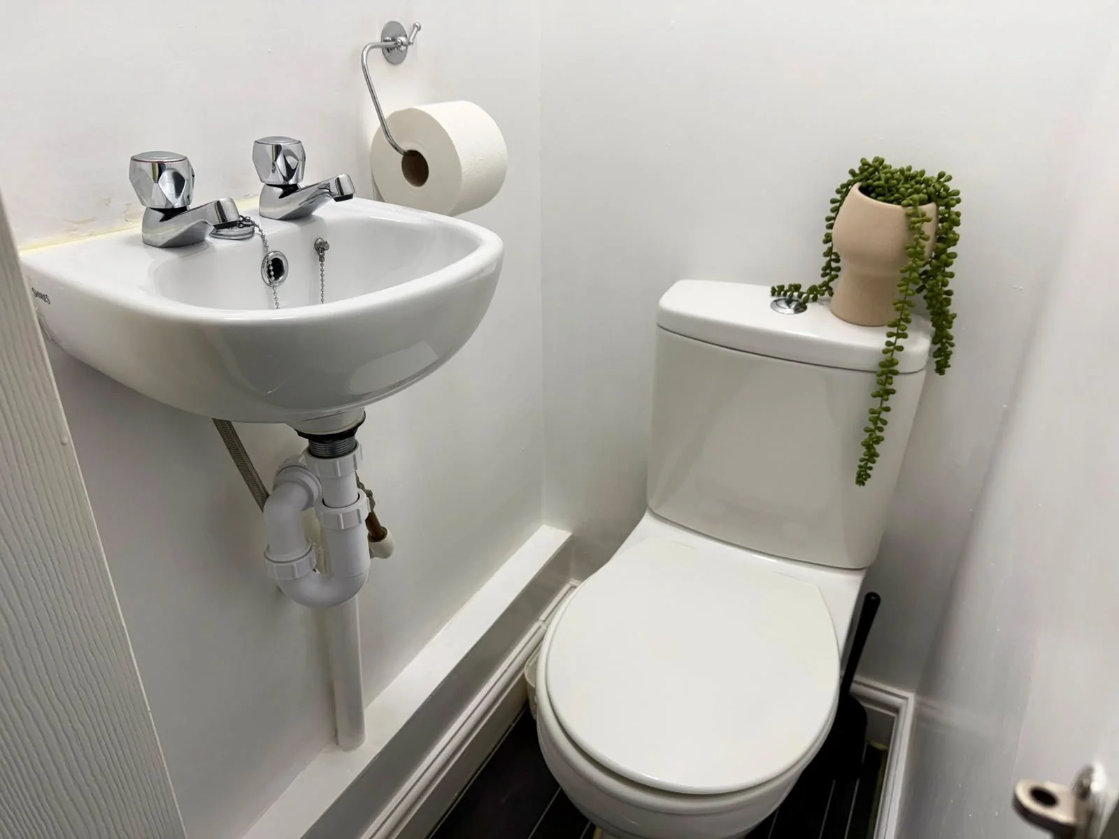 Small bathroom with a white sink and a toilet, decorated with a potted plant on top of the toilet tank, and a roll of toilet paper on the wall.