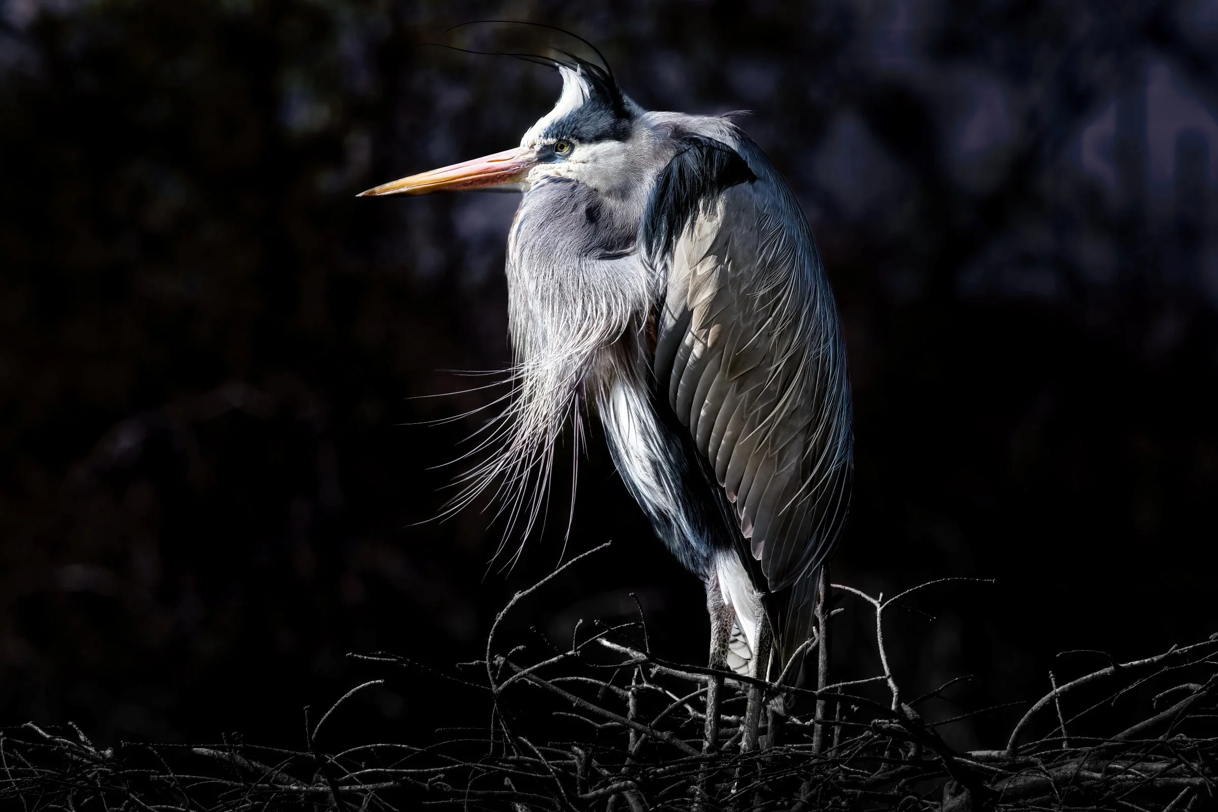 Greater Houston Area