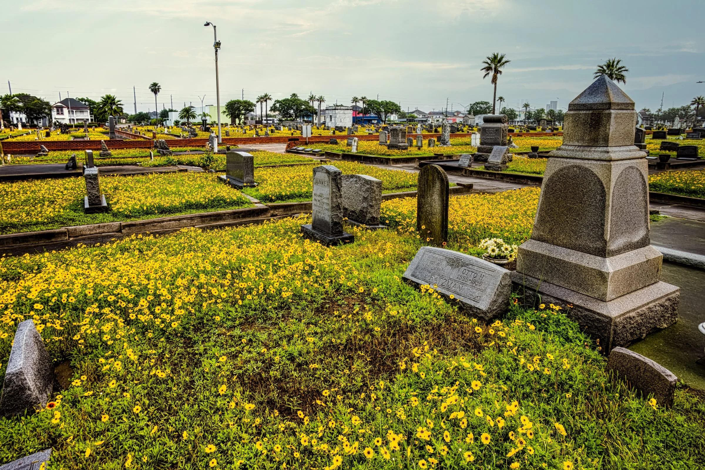 L1004127-DeNoiseAI-raw-Edit.jpg