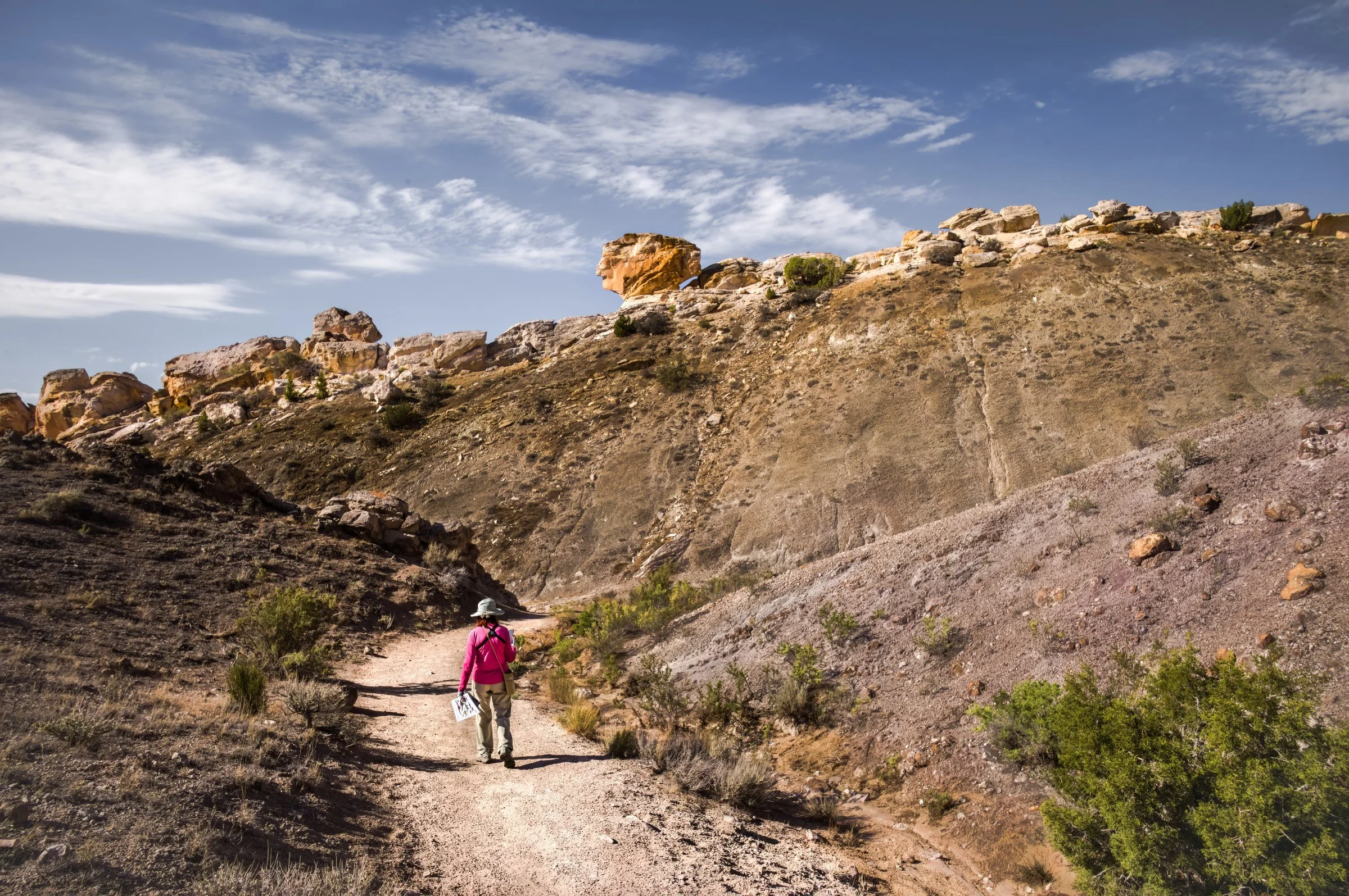L1008915-DeNoiseAI-raw-Edit.jpg