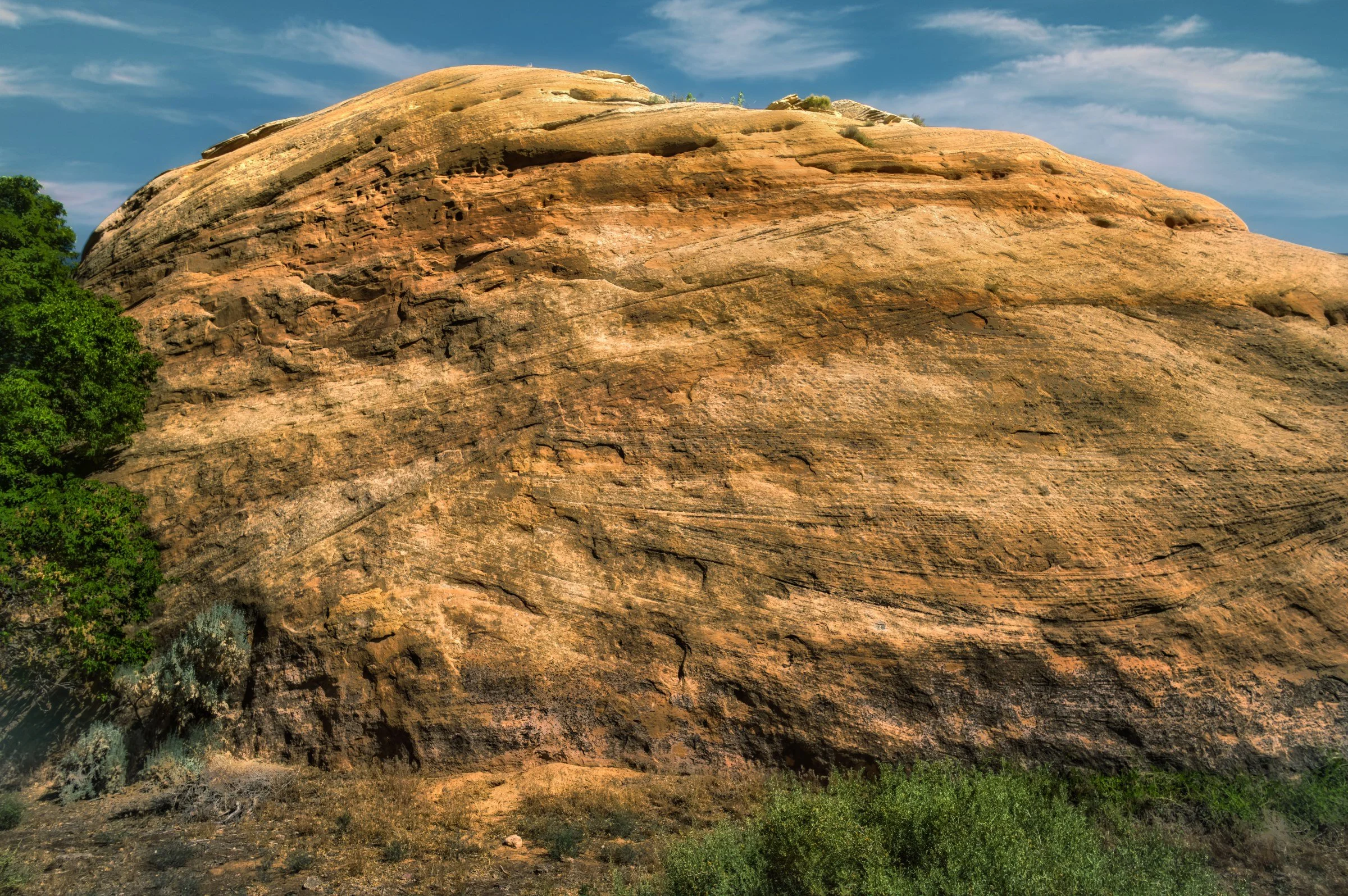 L1008965-DeNoiseAI-raw-Edit.jpg