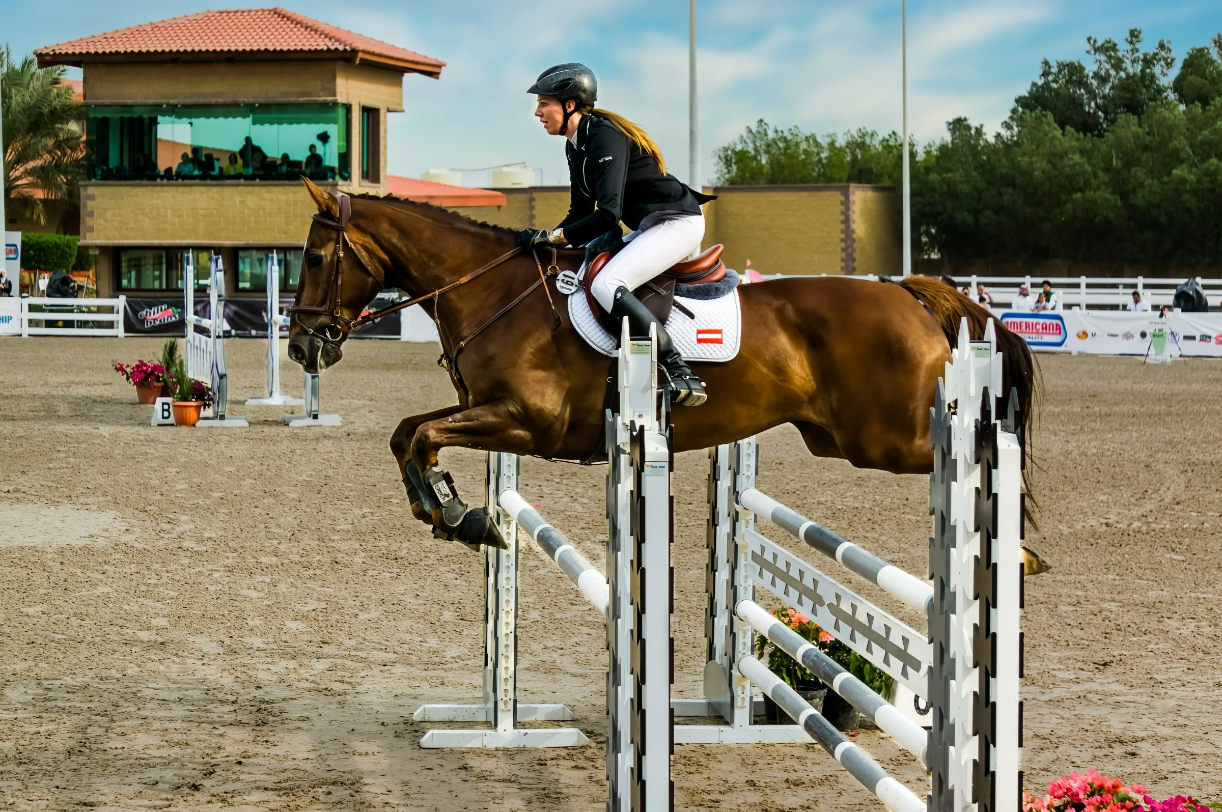 Horse Jumping Competition 2014