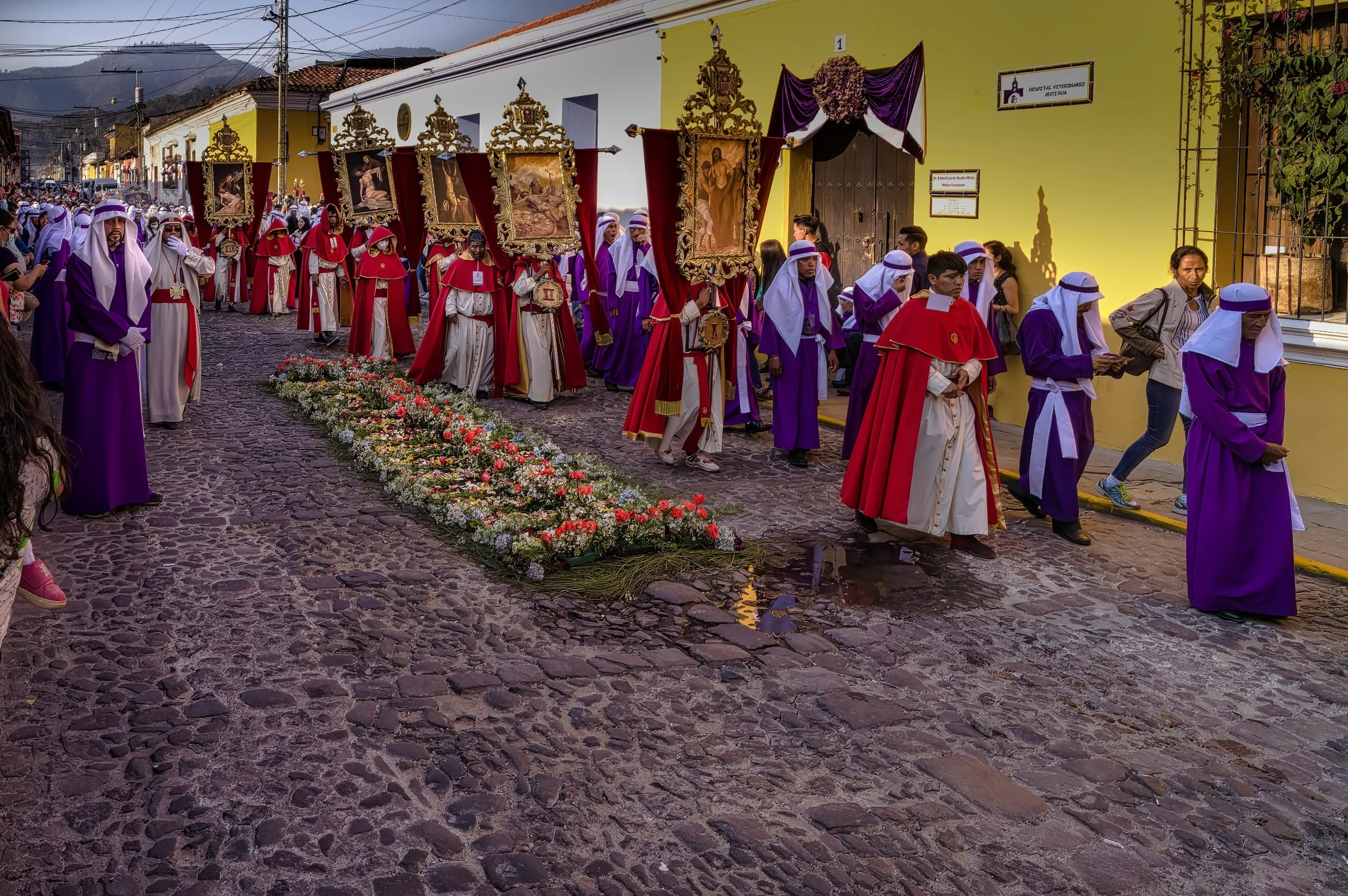 Procession over the "alfombras"