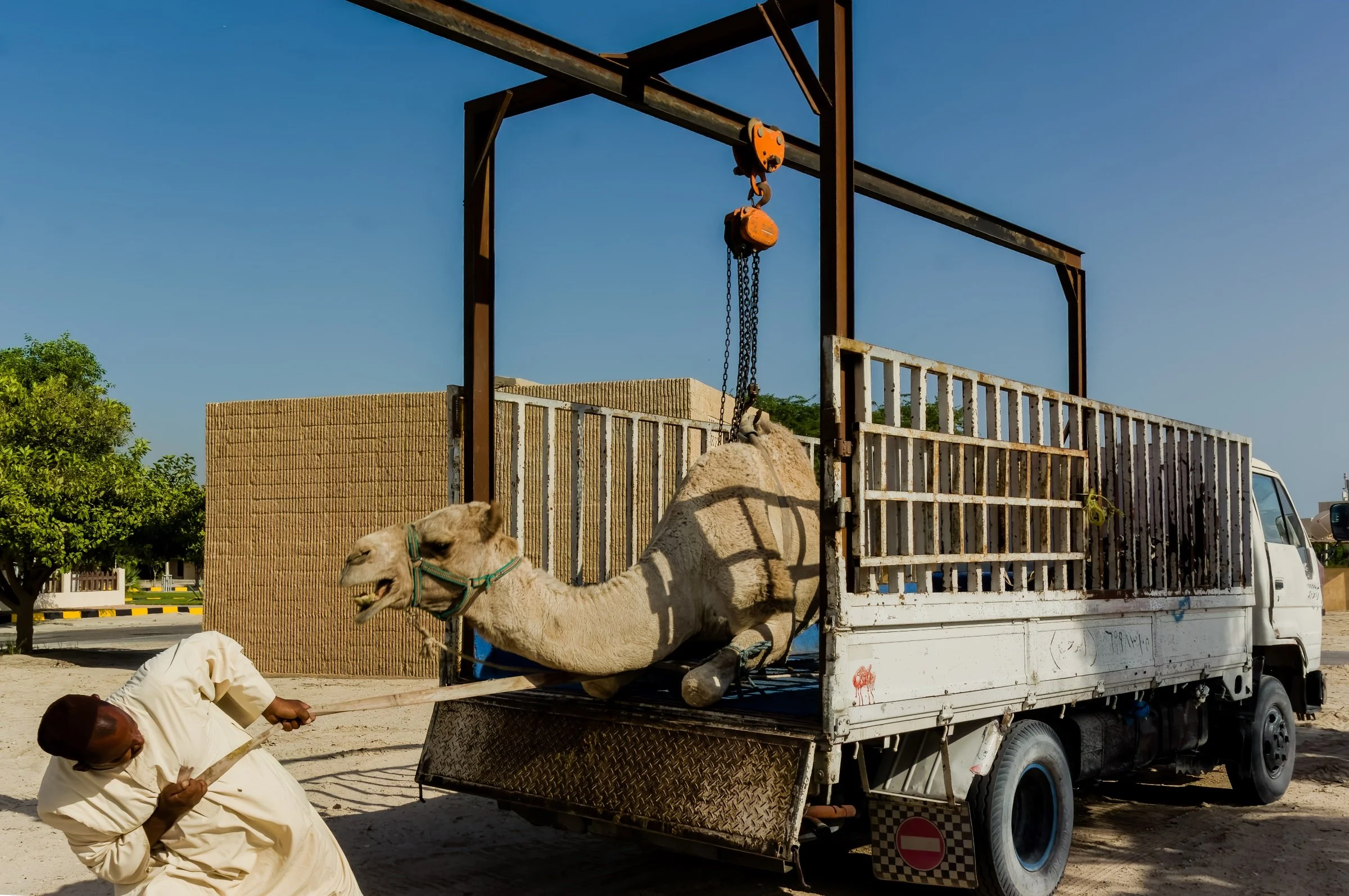 Offloading Camel