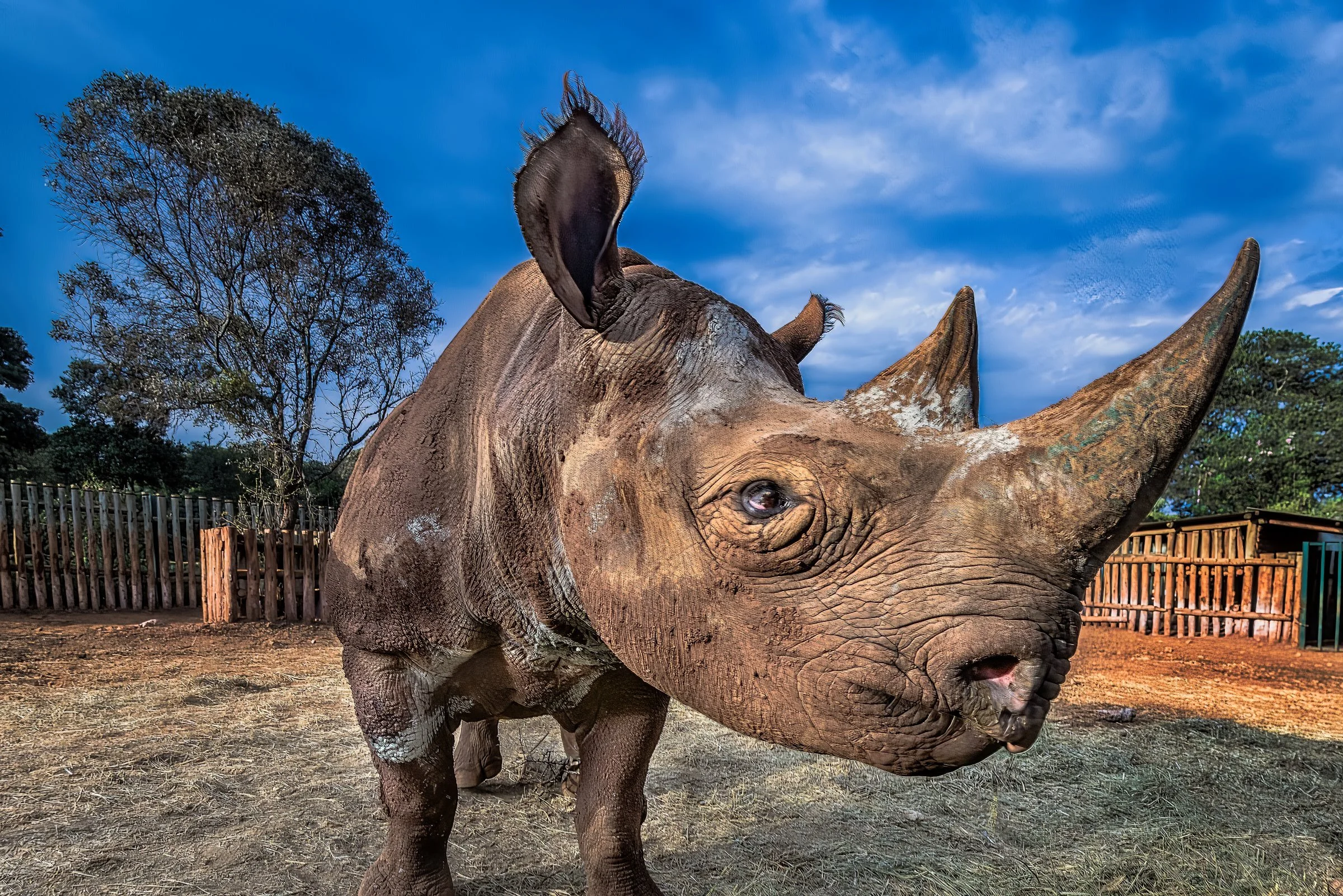 _8000500-DeNoiseAI-raw-SAI-Focus-Edit (1).jpg