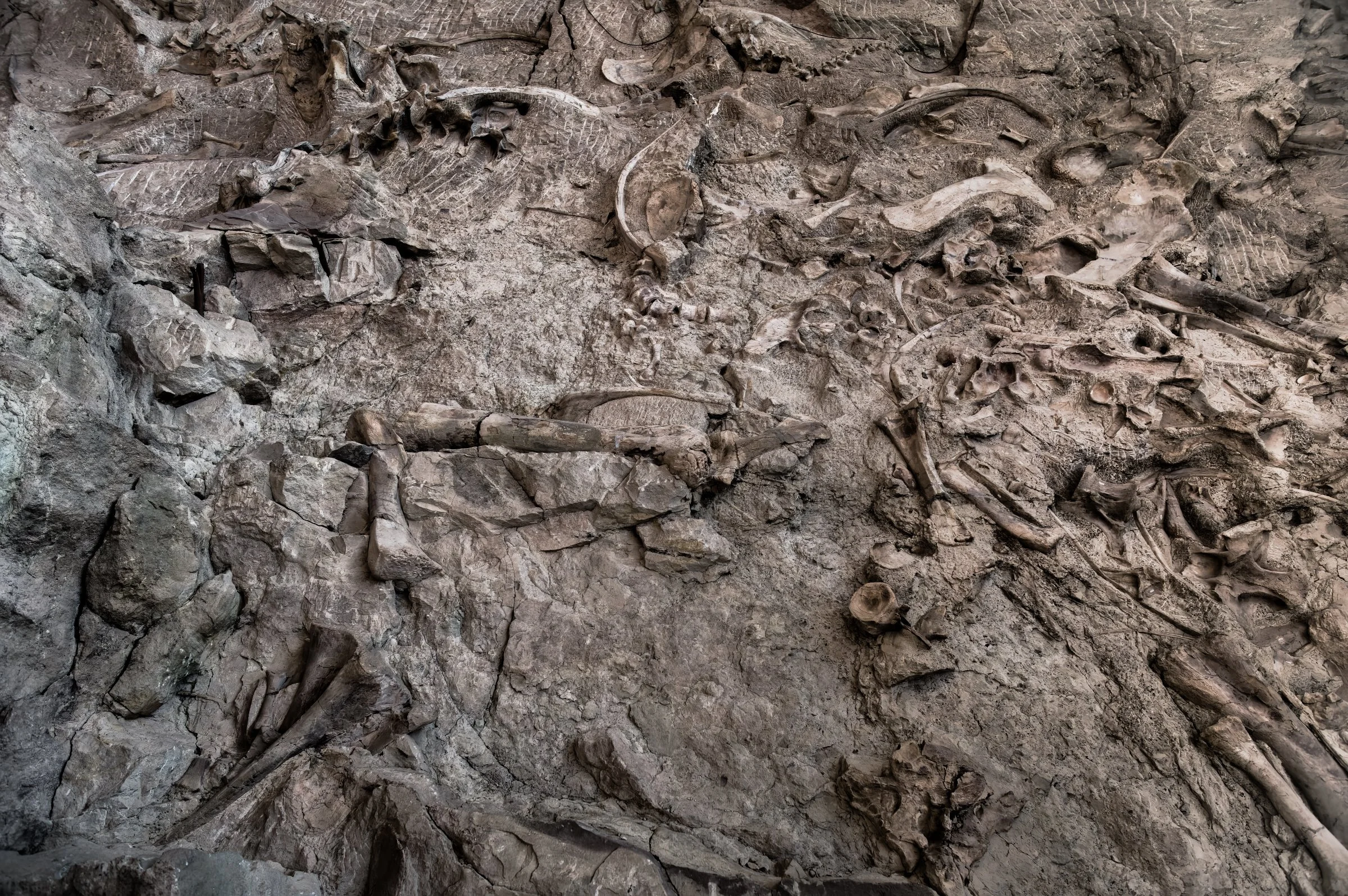 Dinosaur National Monument, 2026