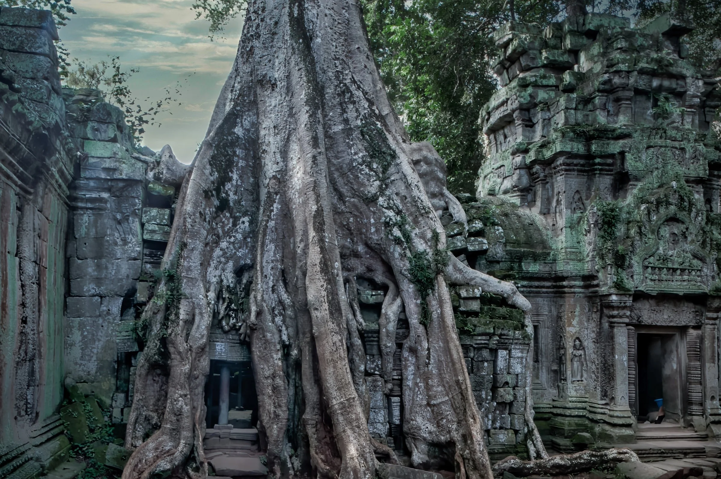 _DSC6904-DeNoiseAI-raw-Edit.jpg