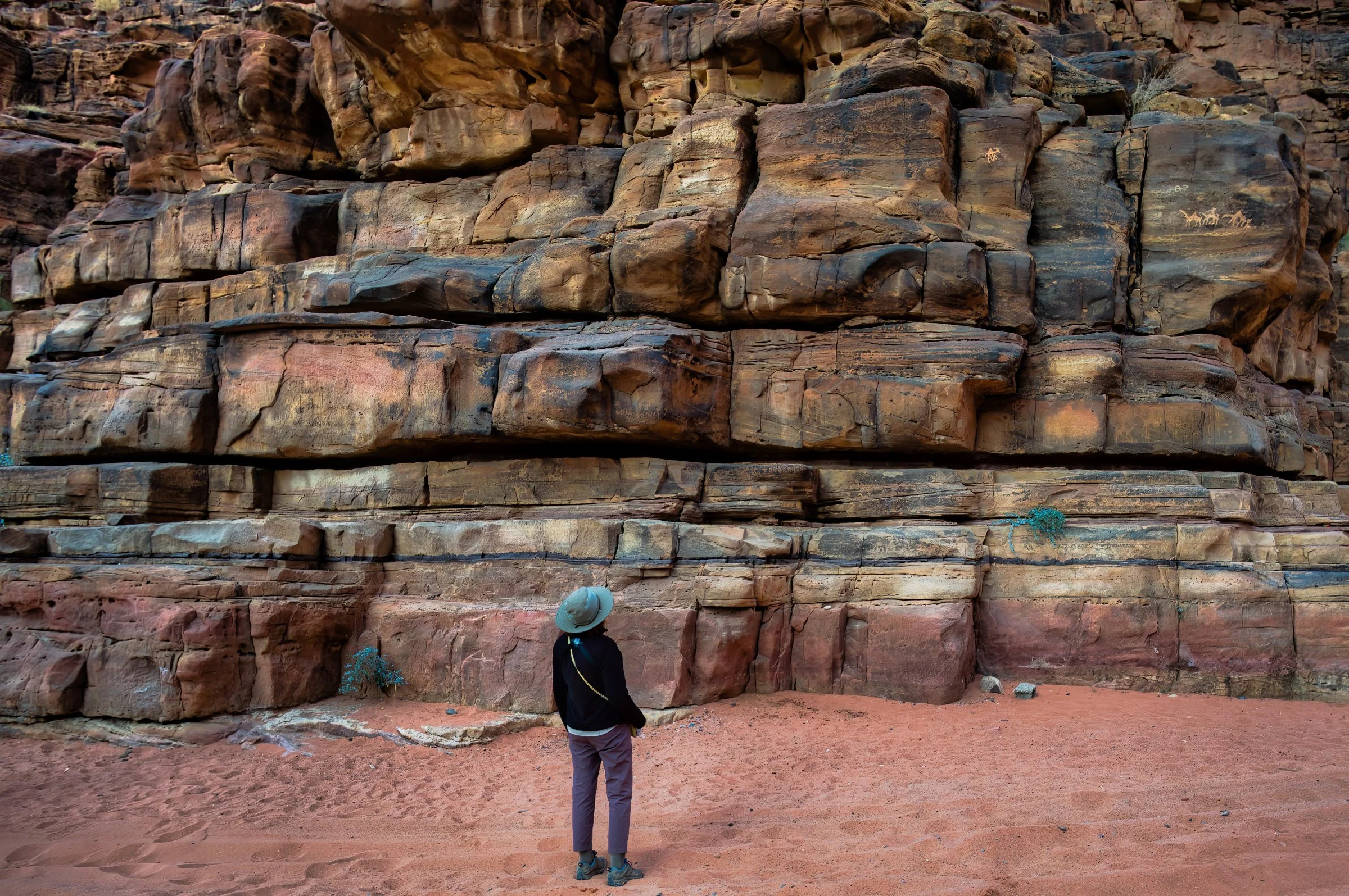 Wadi AL Disah Petroglyphs