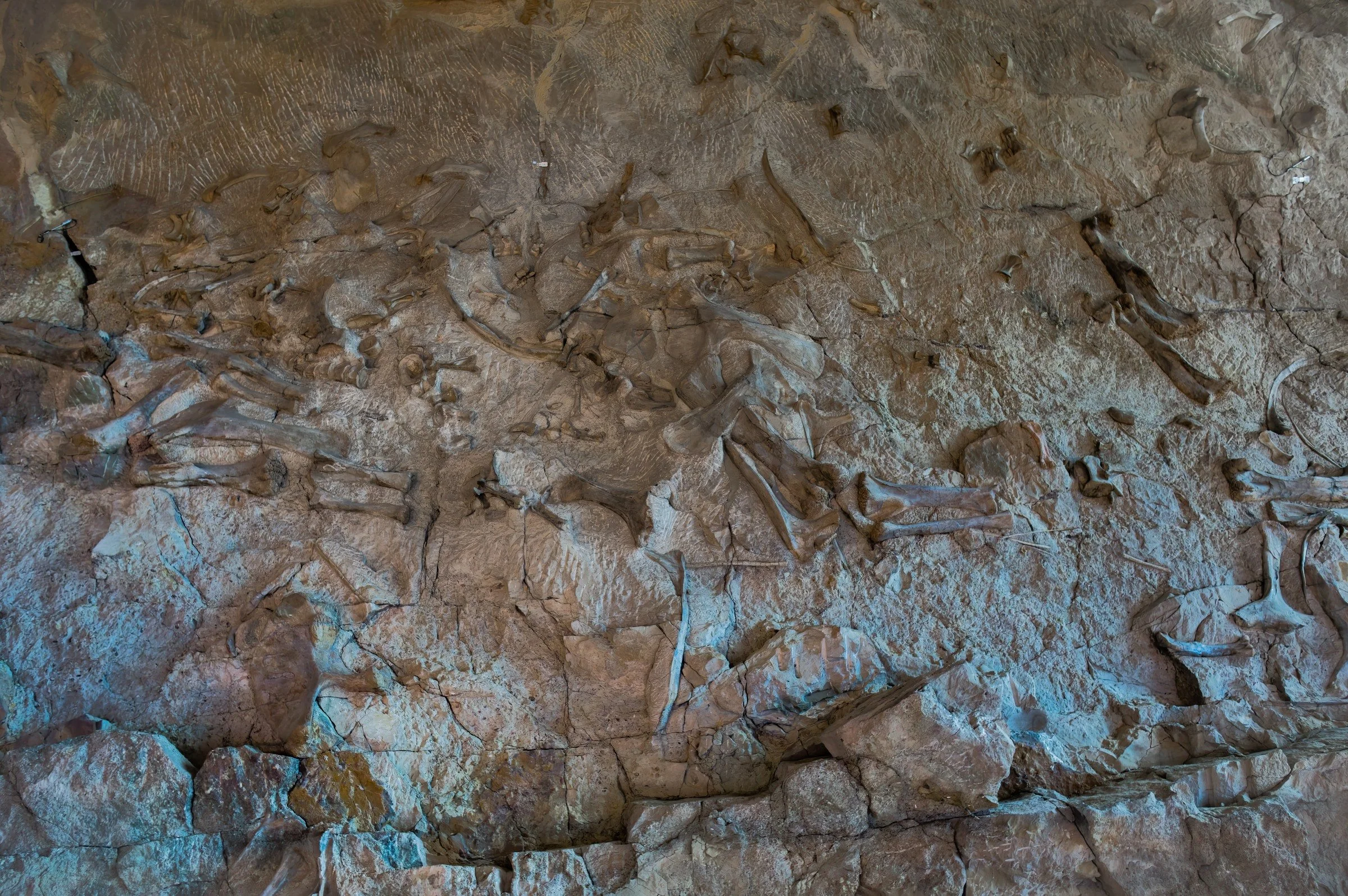 L1008877-DeNoiseAI-raw-Edit.jpg