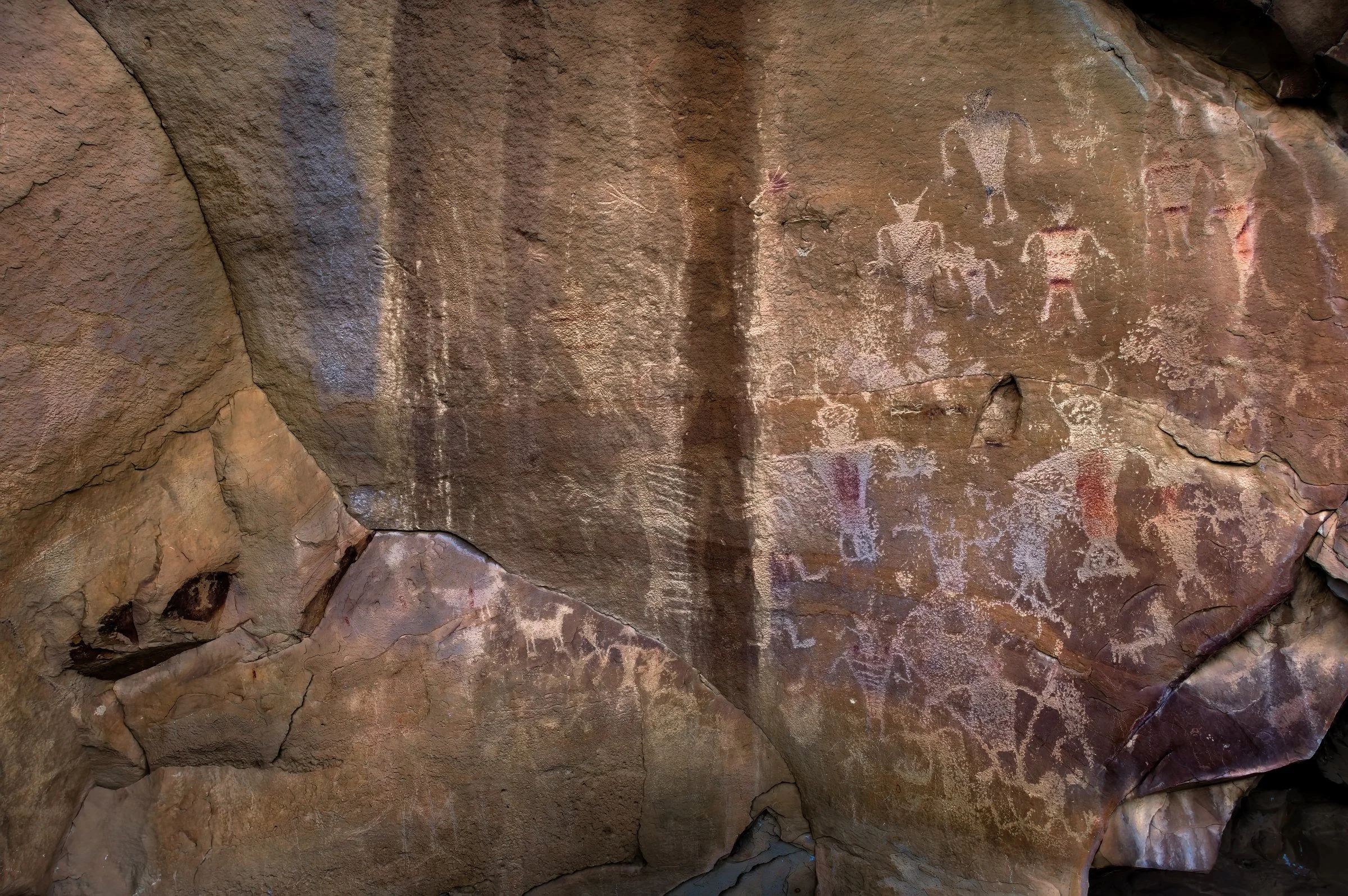 L1008863-DeNoiseAI-raw-Edit.jpg