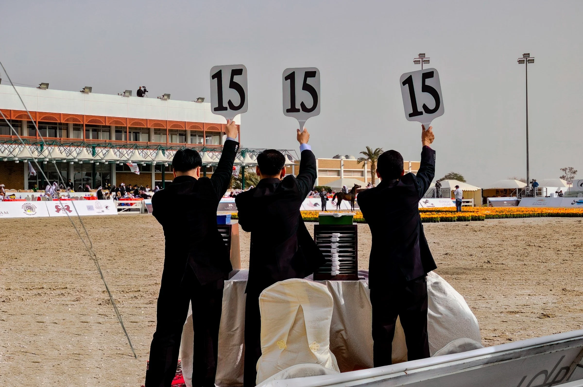 Arabian Horse National Championships 2011