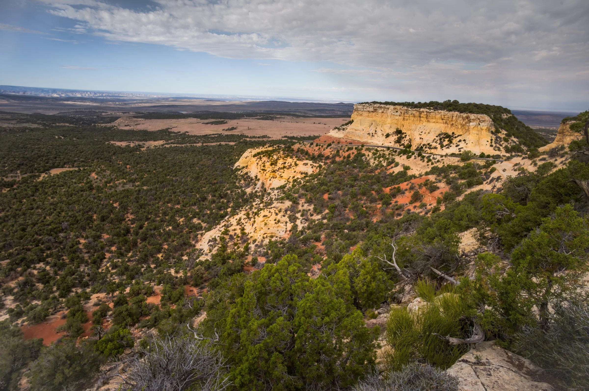 L1009046-DeNoiseAI-raw-Edit.jpg