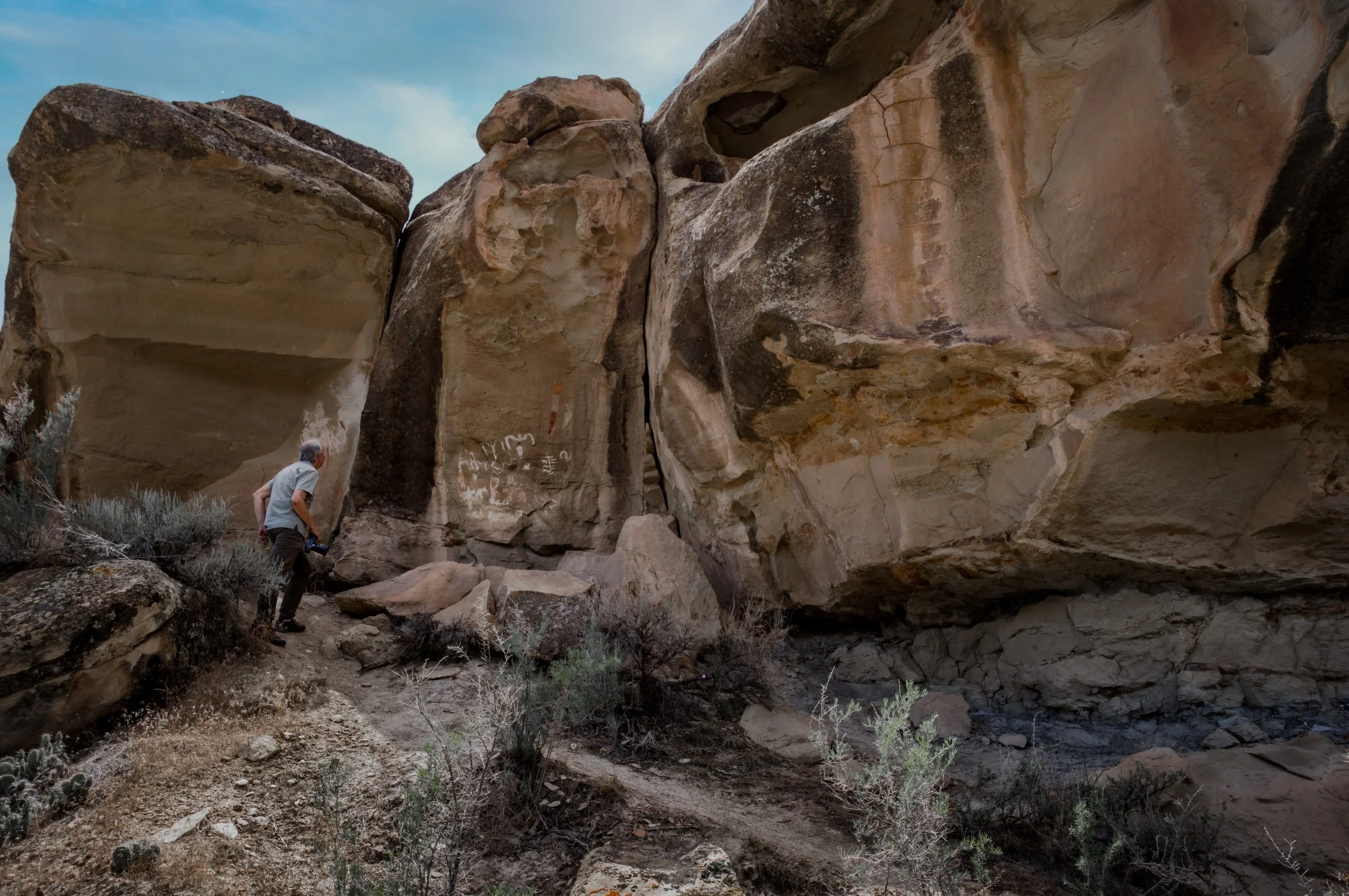 White Birds Petroglyphs