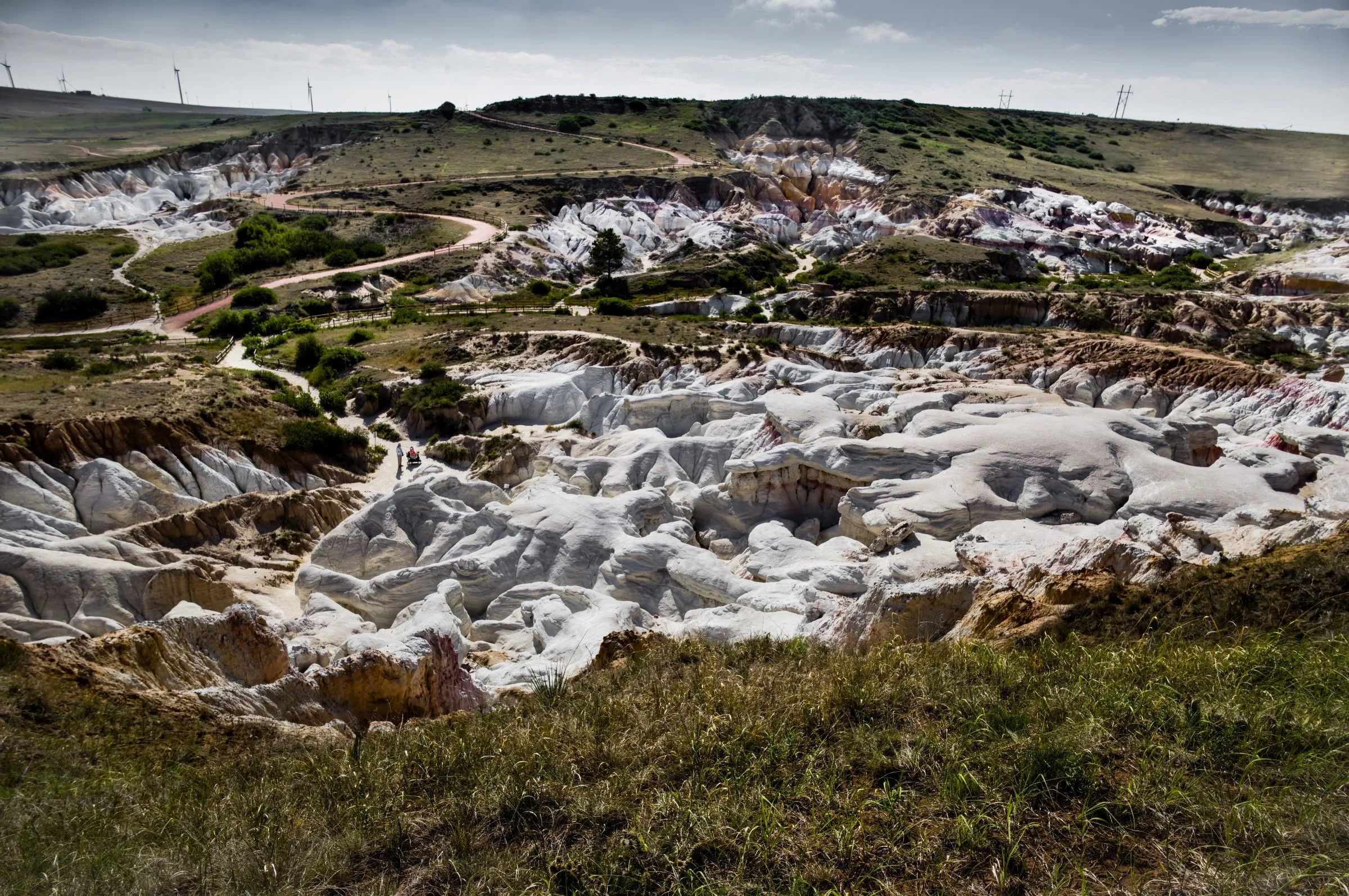 L1009190-DeNoiseAI-raw-Edit.jpg