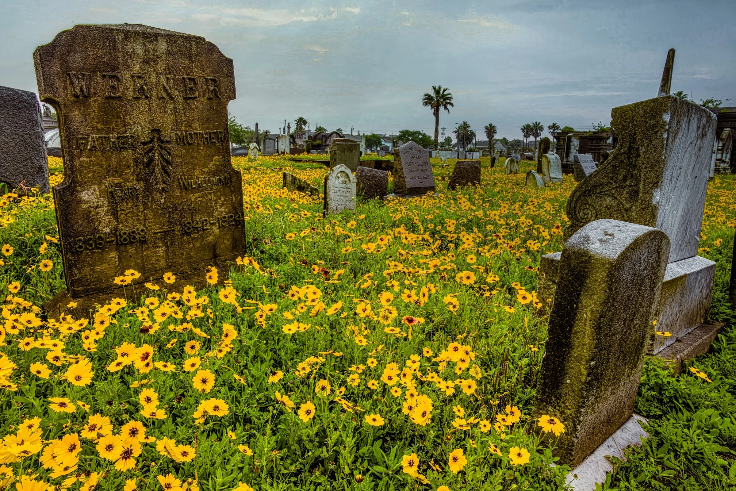 L1004107-DeNoiseAI-raw-Edit.jpg
