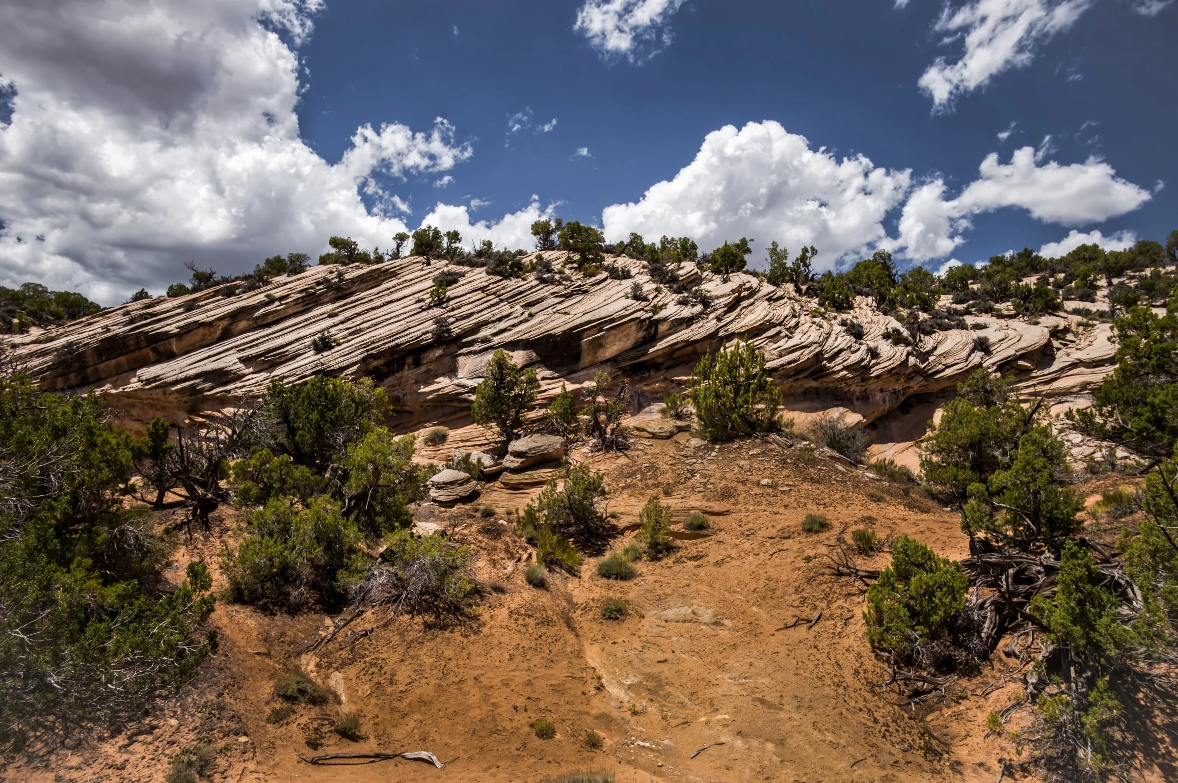 L1009024-DeNoiseAI-raw-Edit.jpg