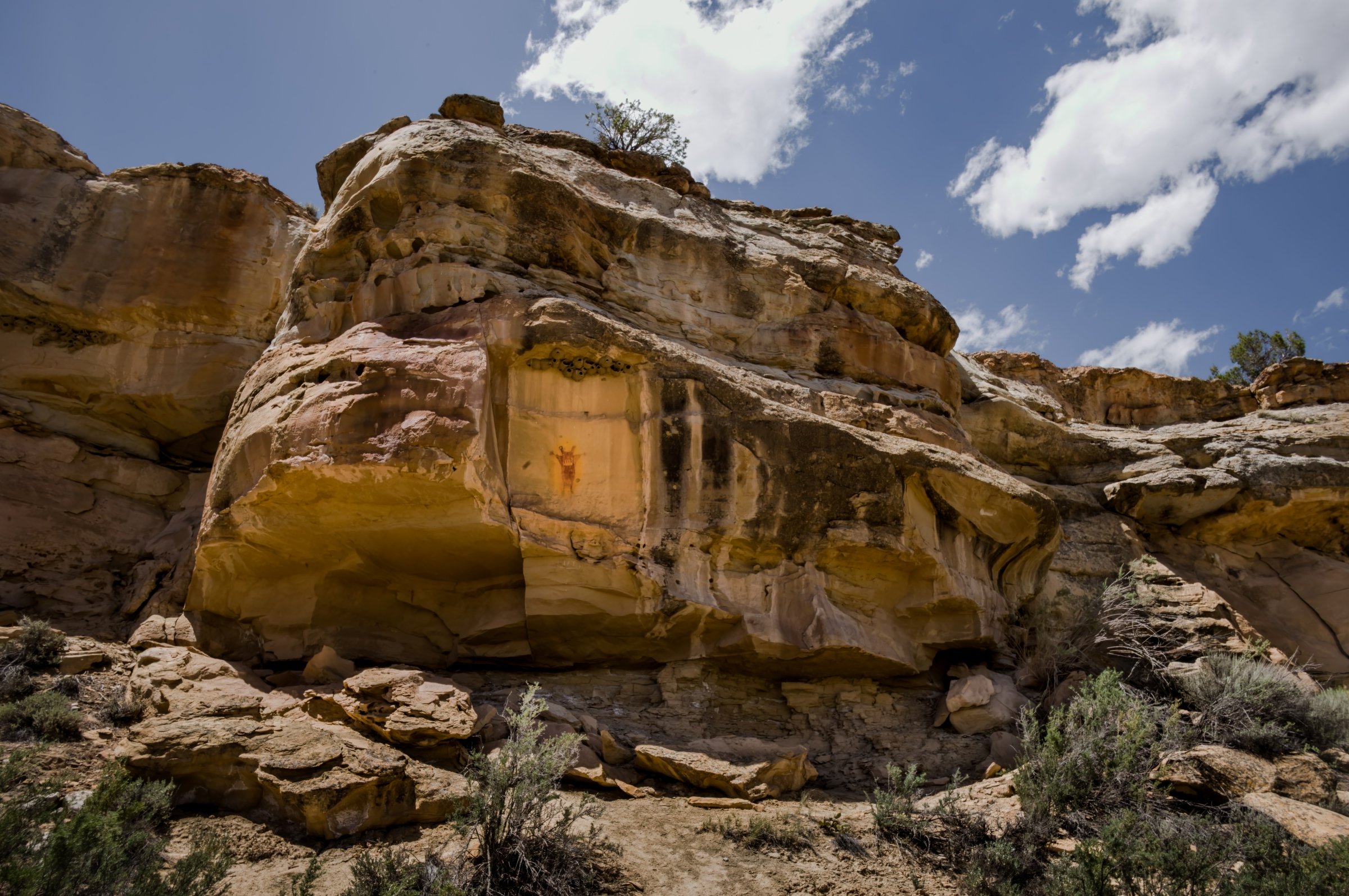 L1009114-DeNoiseAI-raw-Edit.jpg