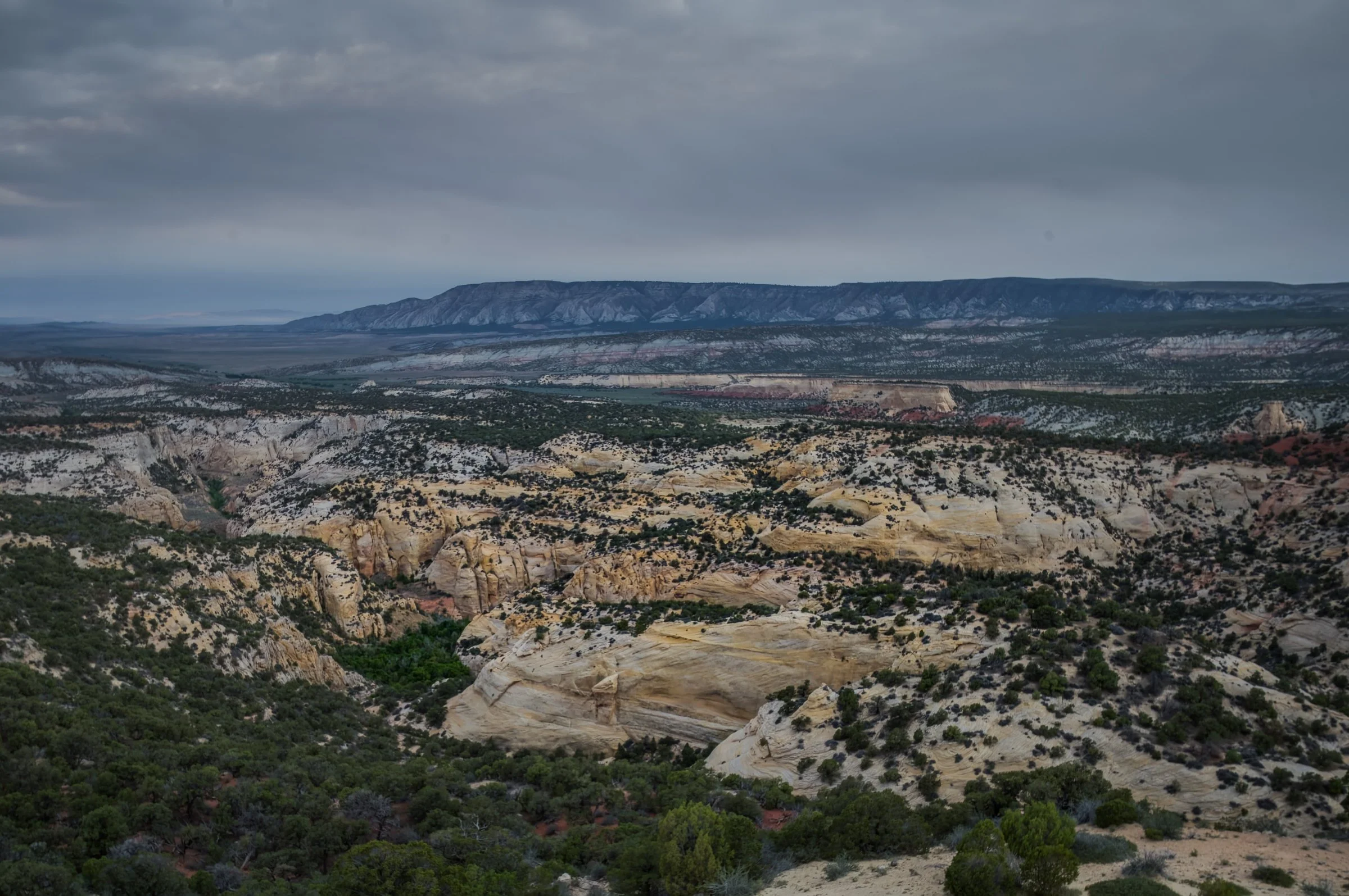 L1009051-DeNoiseAI-raw-Edit.jpg