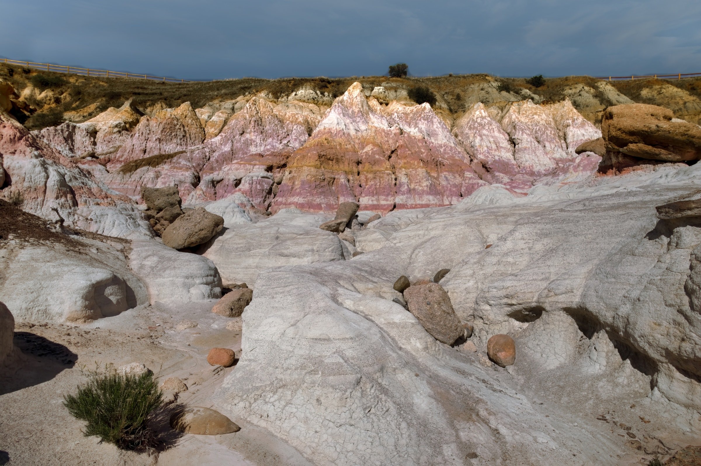 L1009268b-DeNoiseAI-raw-Edit.jpg