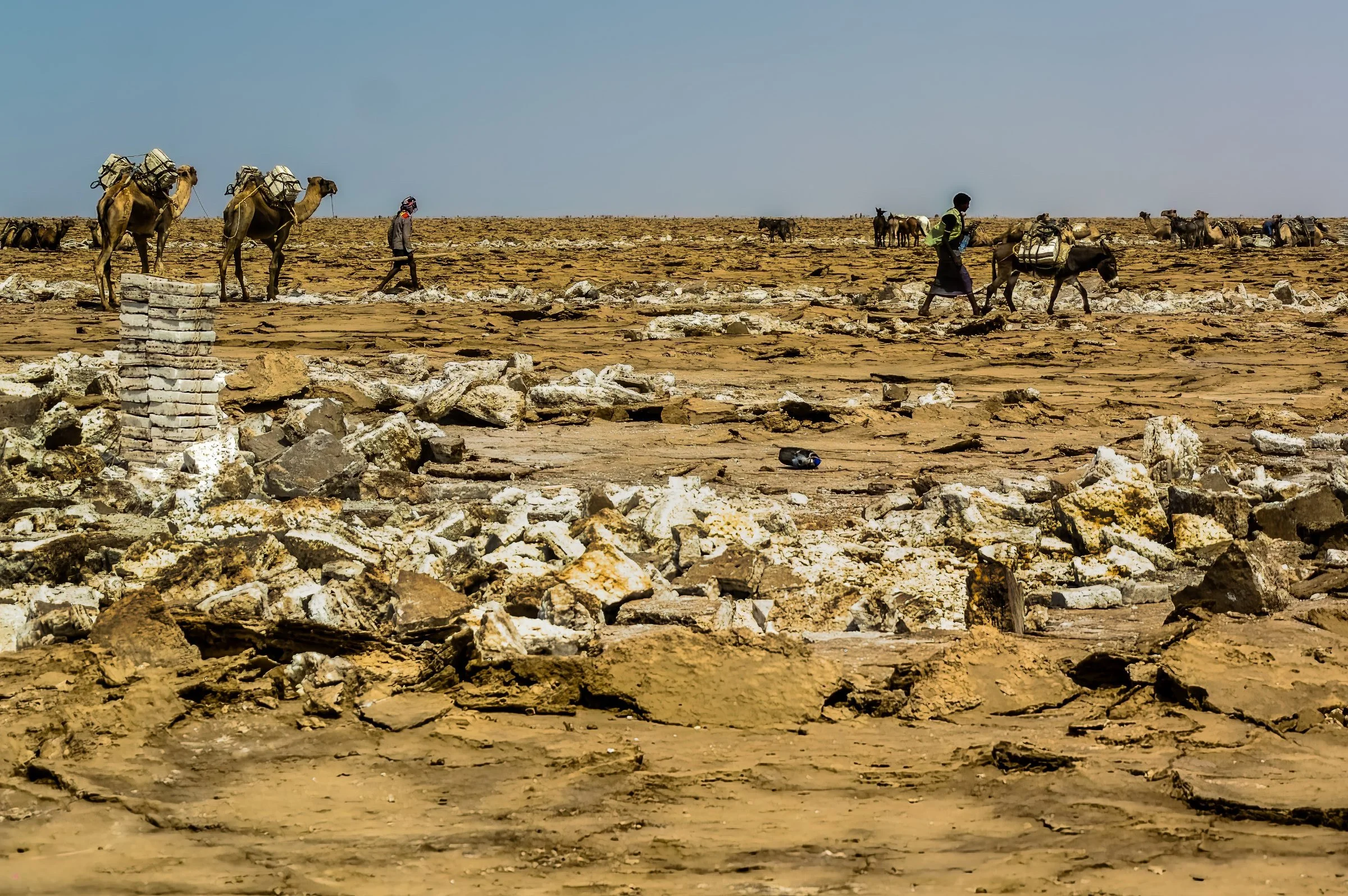 Salt Mining of Ancient Red Sea Deposits