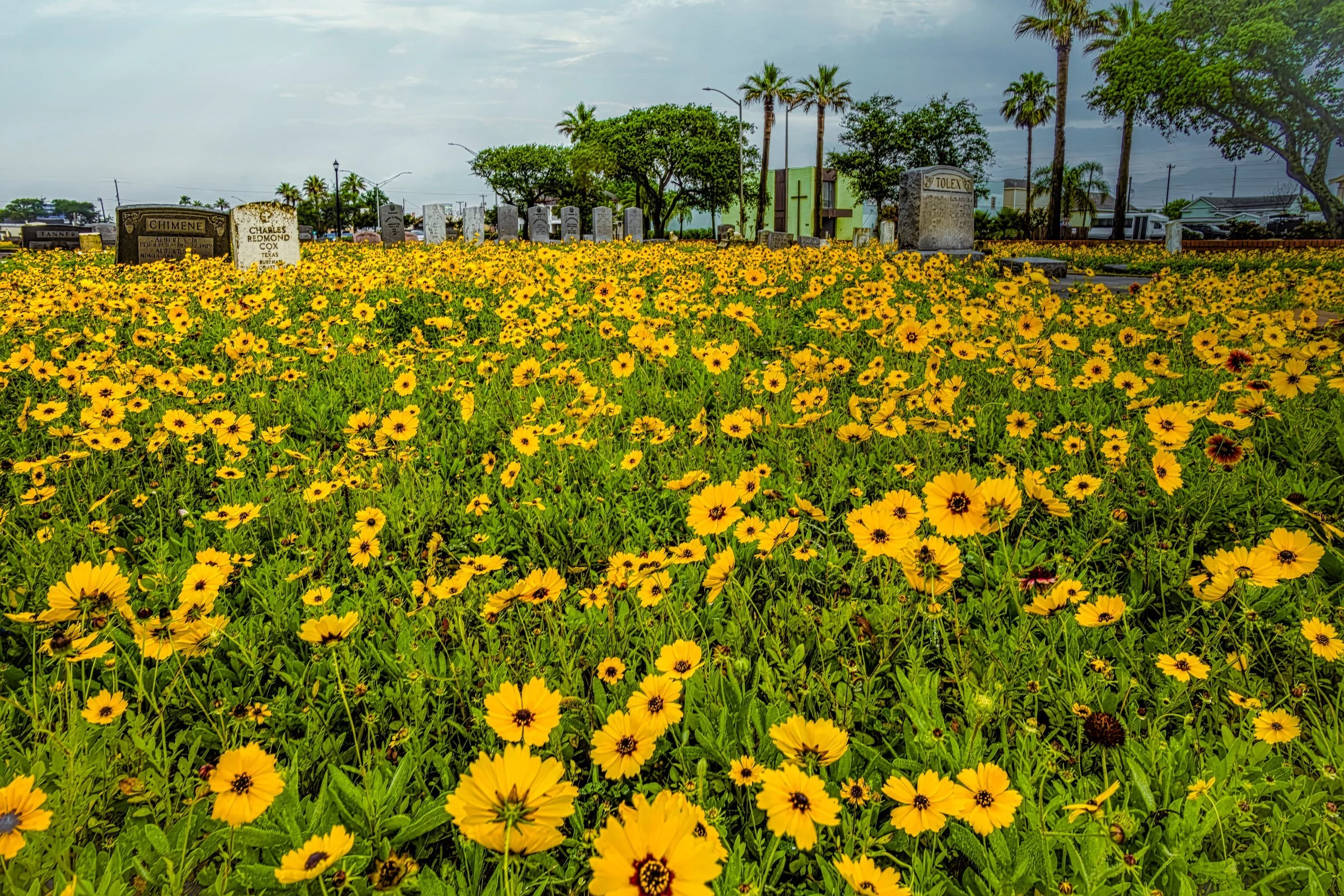Galveston Broadway Cemetery, 2020