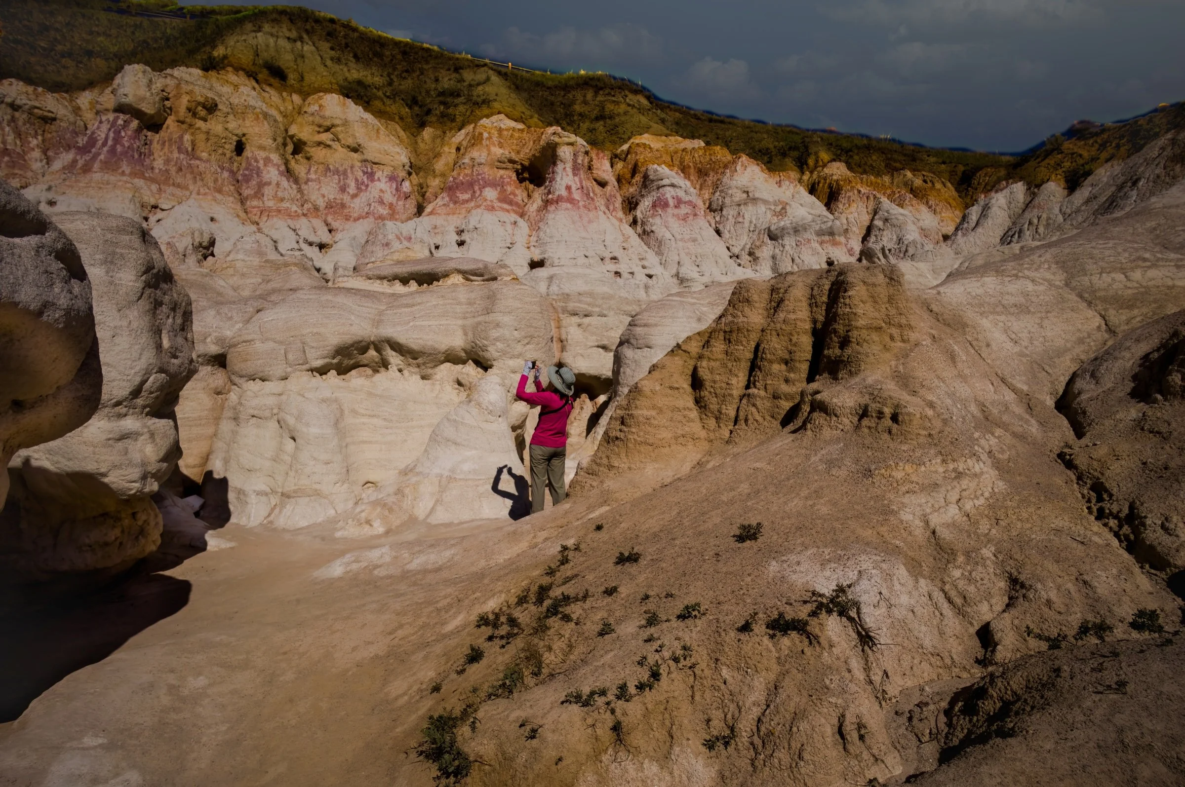 L1009242-DeNoiseAI-raw-Edit.jpg