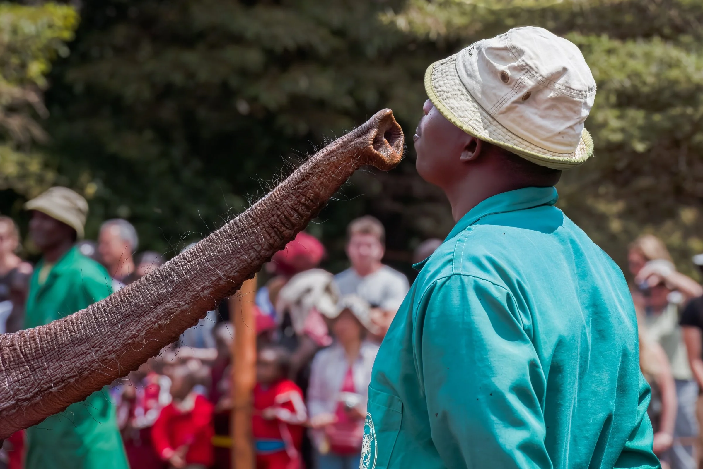 Sheldrick Elephant Orphanage
