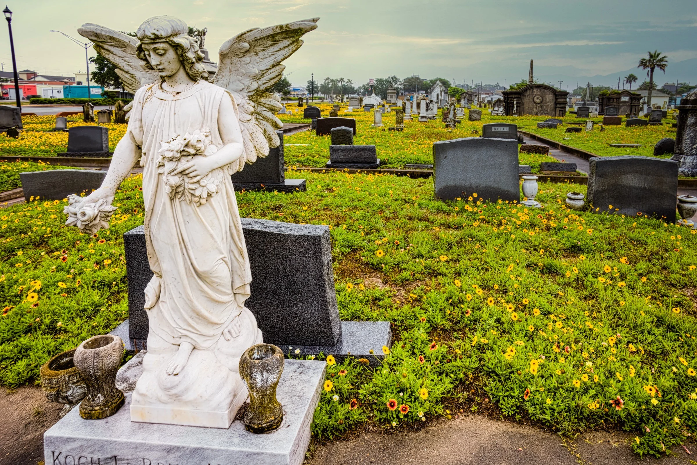 L1004103-DeNoiseAI-raw-Edit.jpg