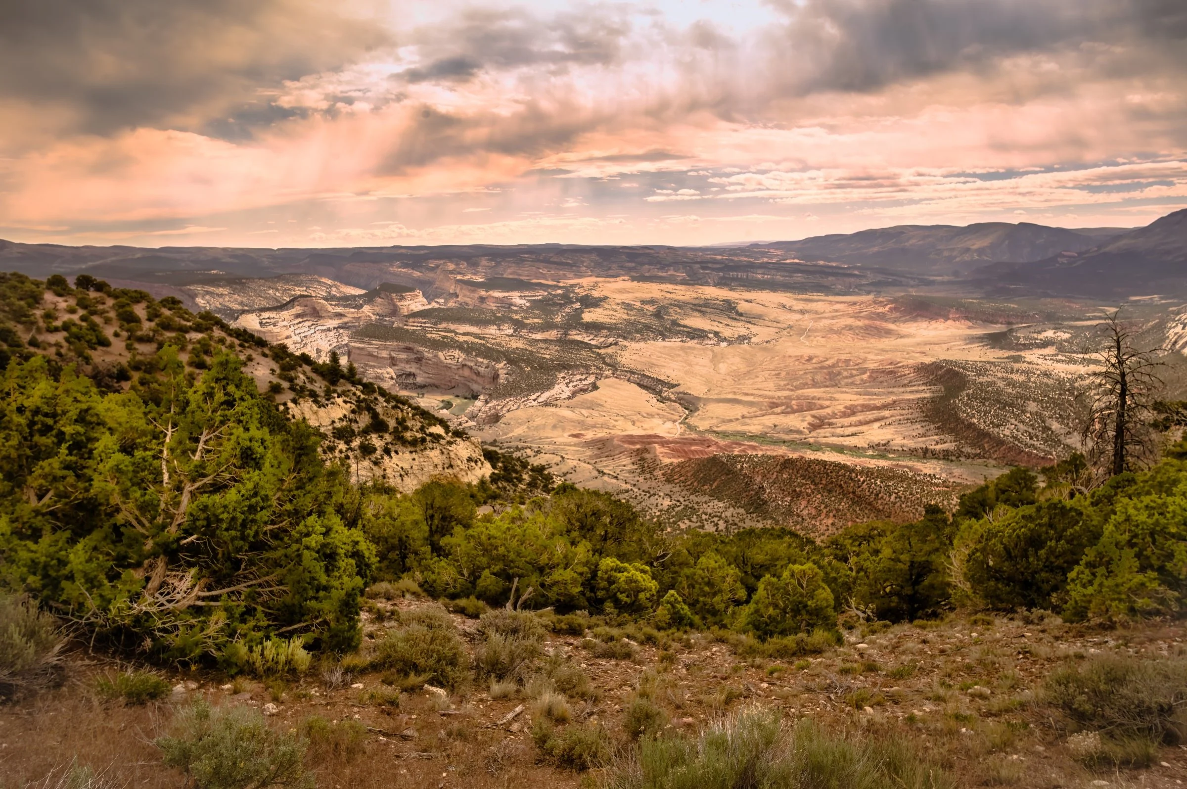 L1009095-DeNoiseAI-raw-Edit.jpg