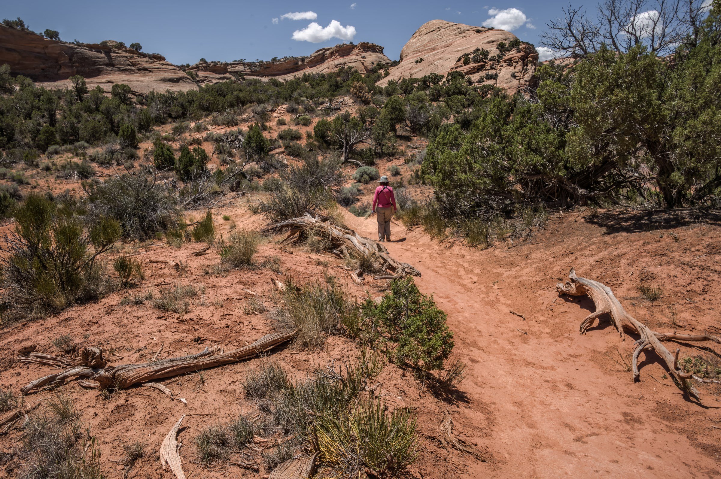 Red Fleet Dinosaur Tracks, 2026